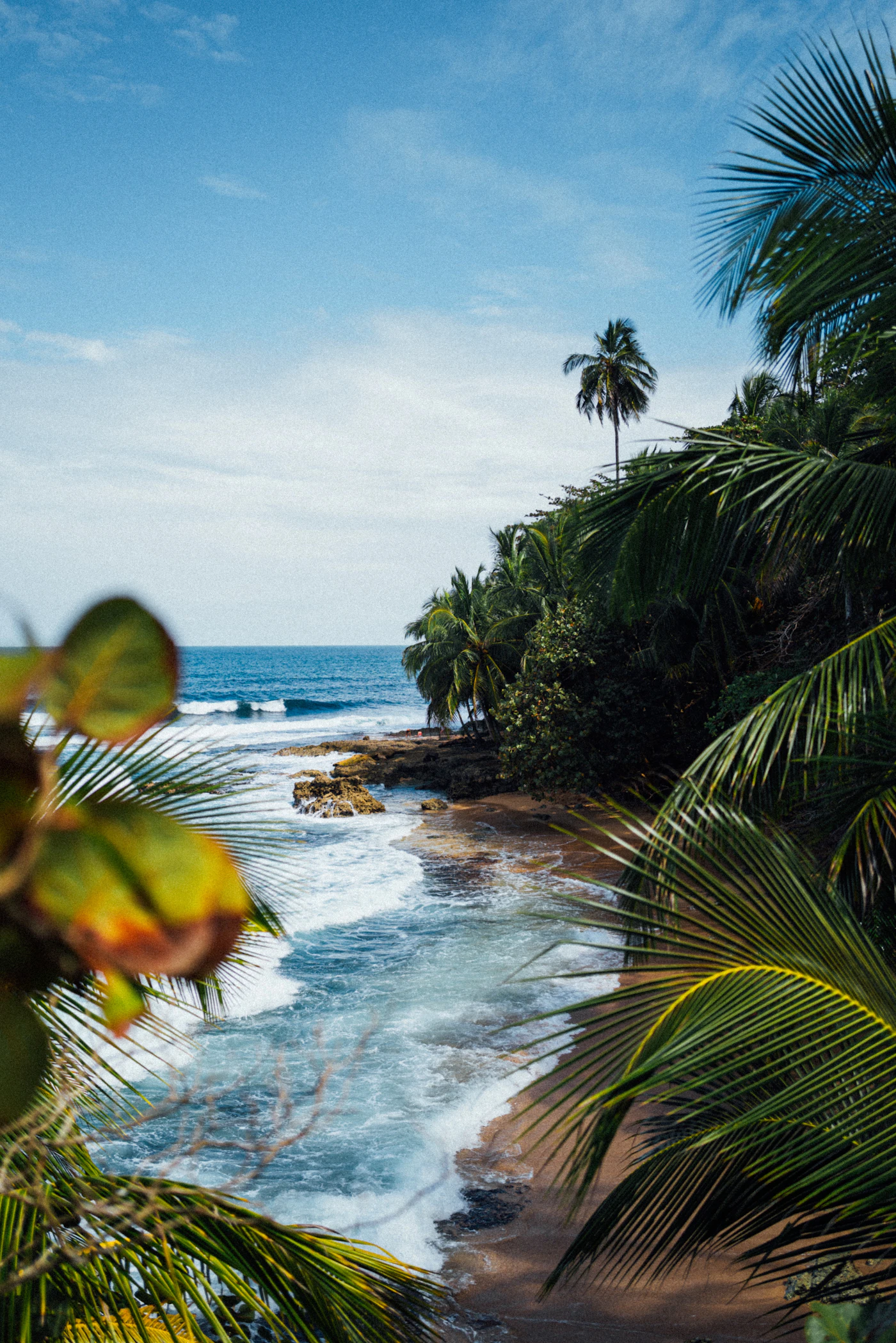 Tropical beach and palm trees in Costa Rica winter travel destination
