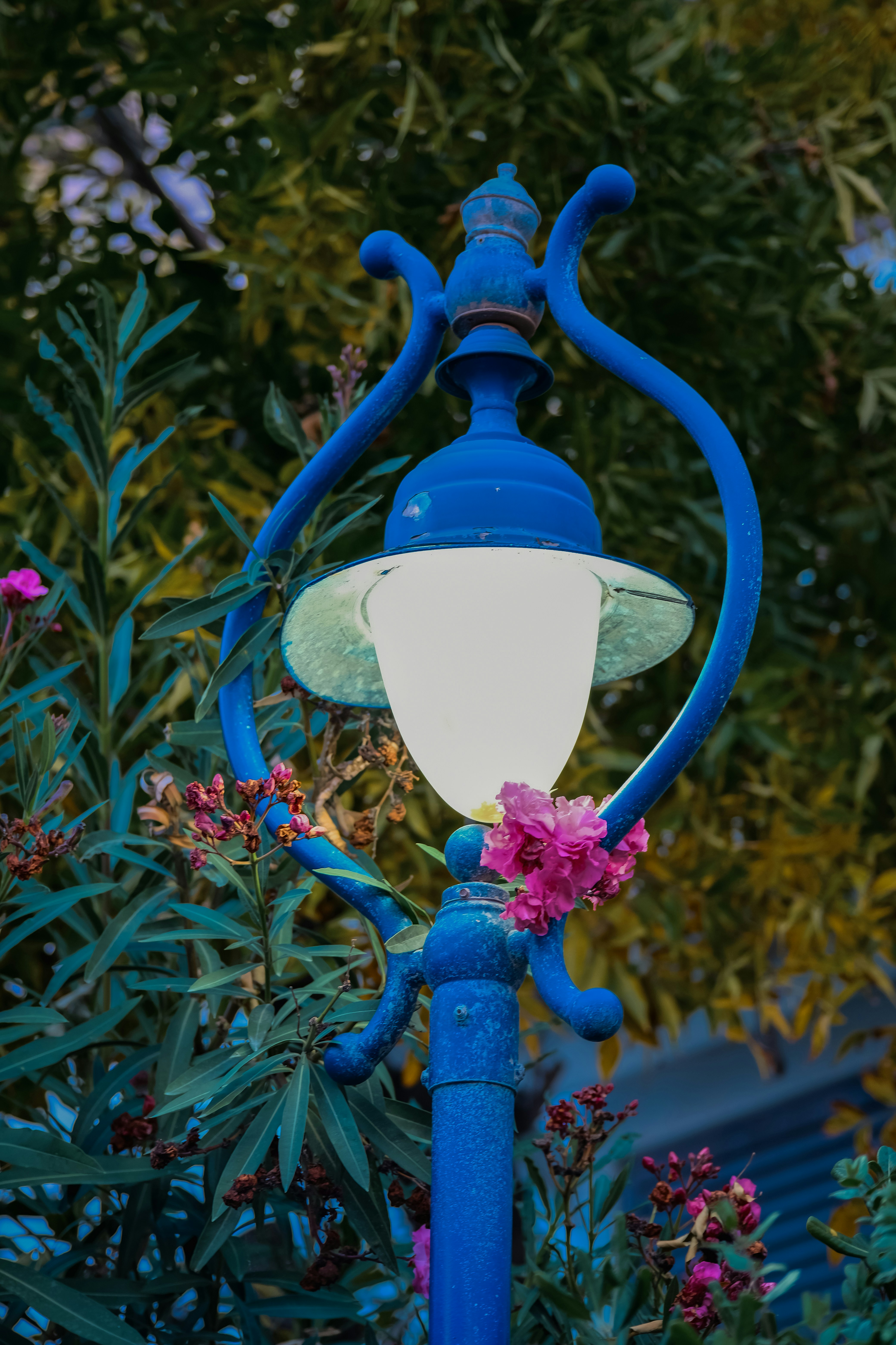 Una farola azul vintage con flores rosas