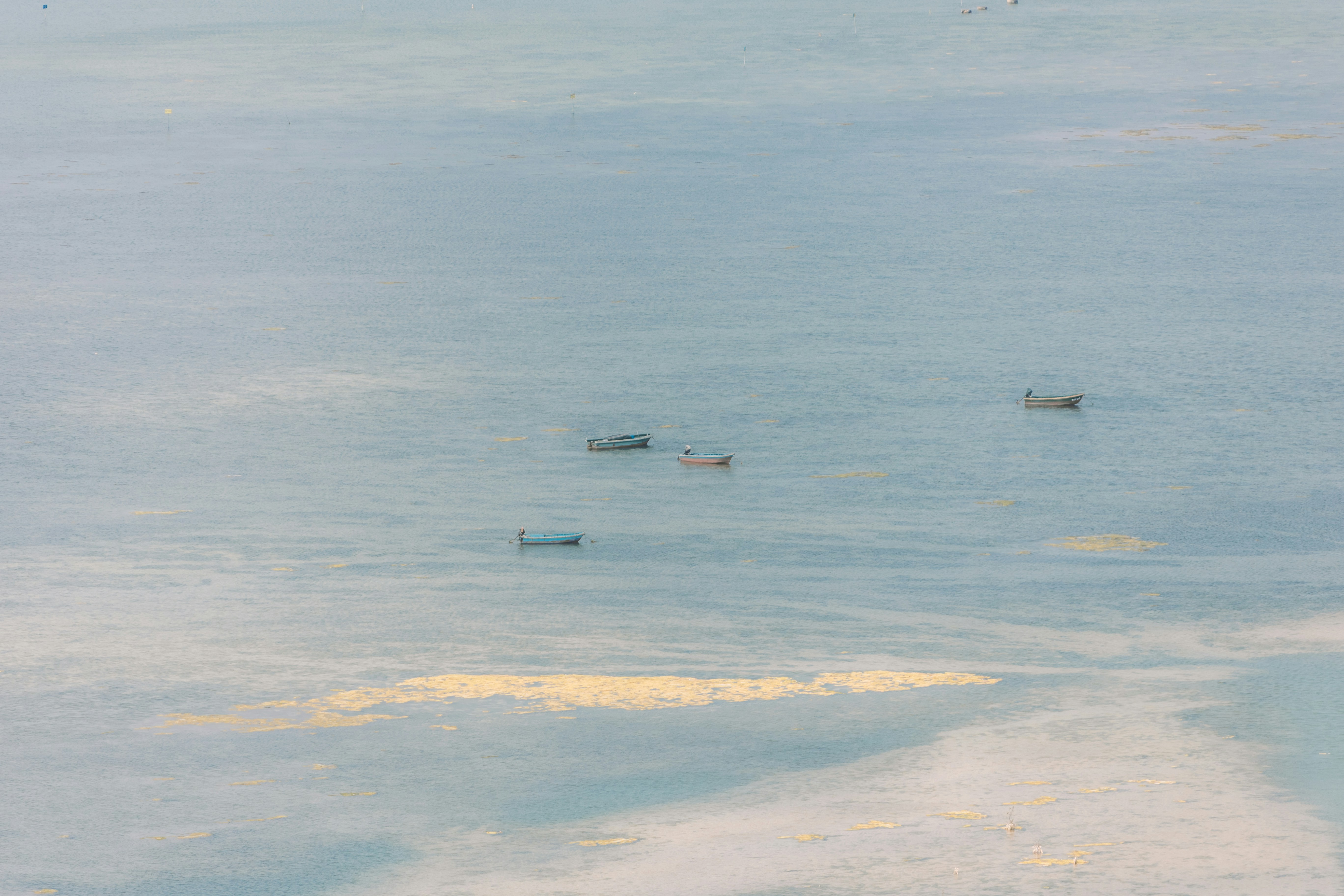 Photo by wu_hua_jiang