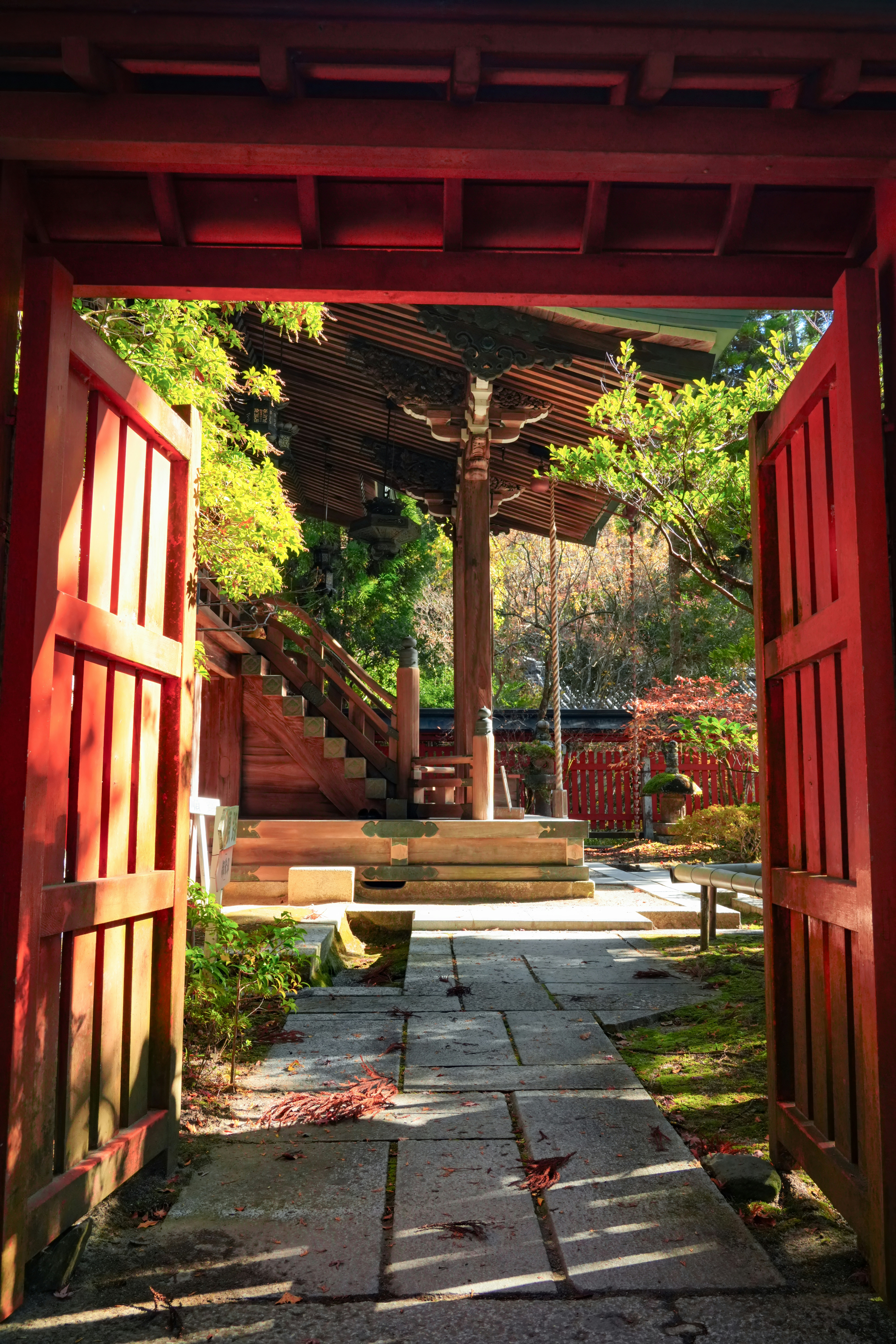 Photo by hattrick1996