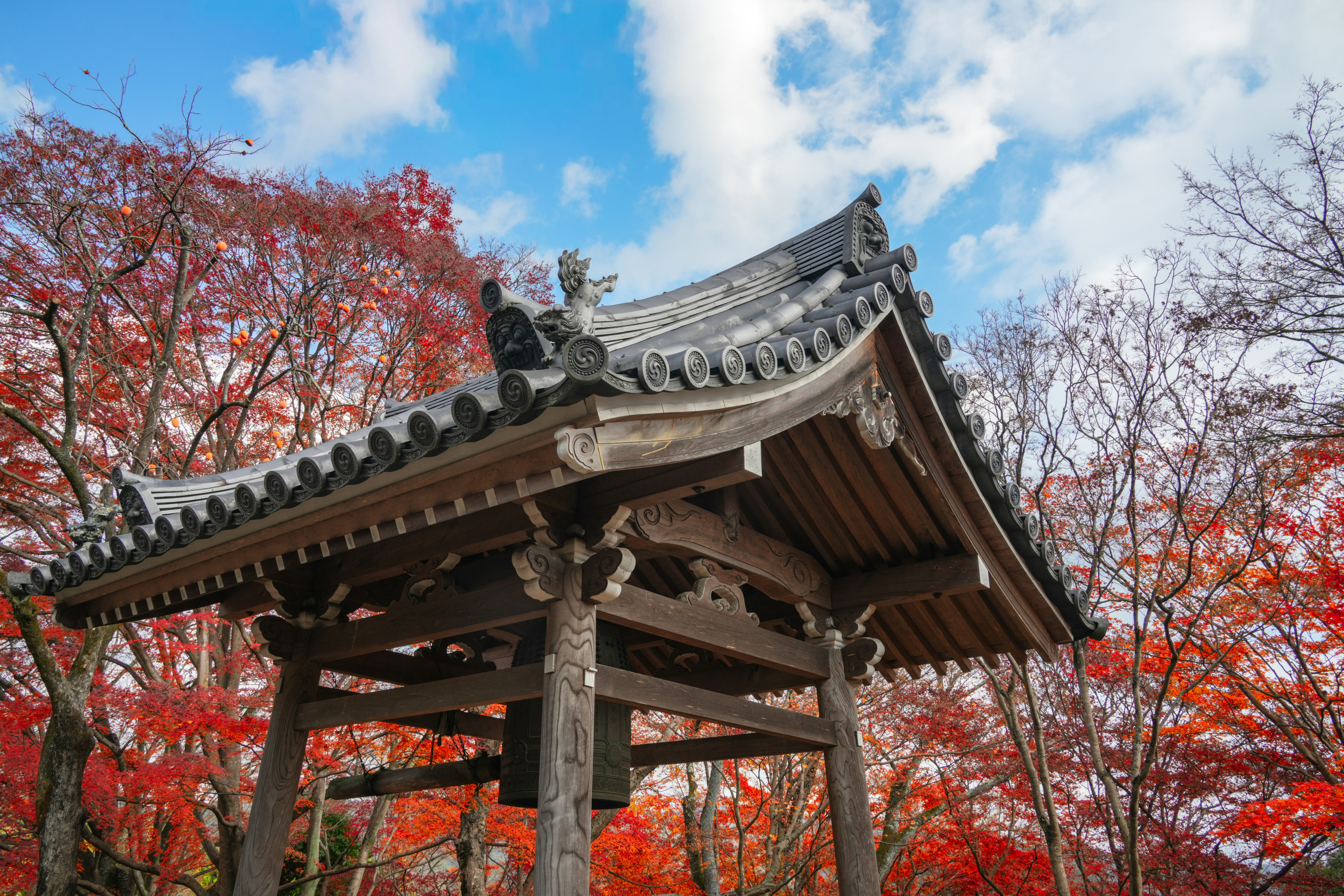 Photo by hattrick1996