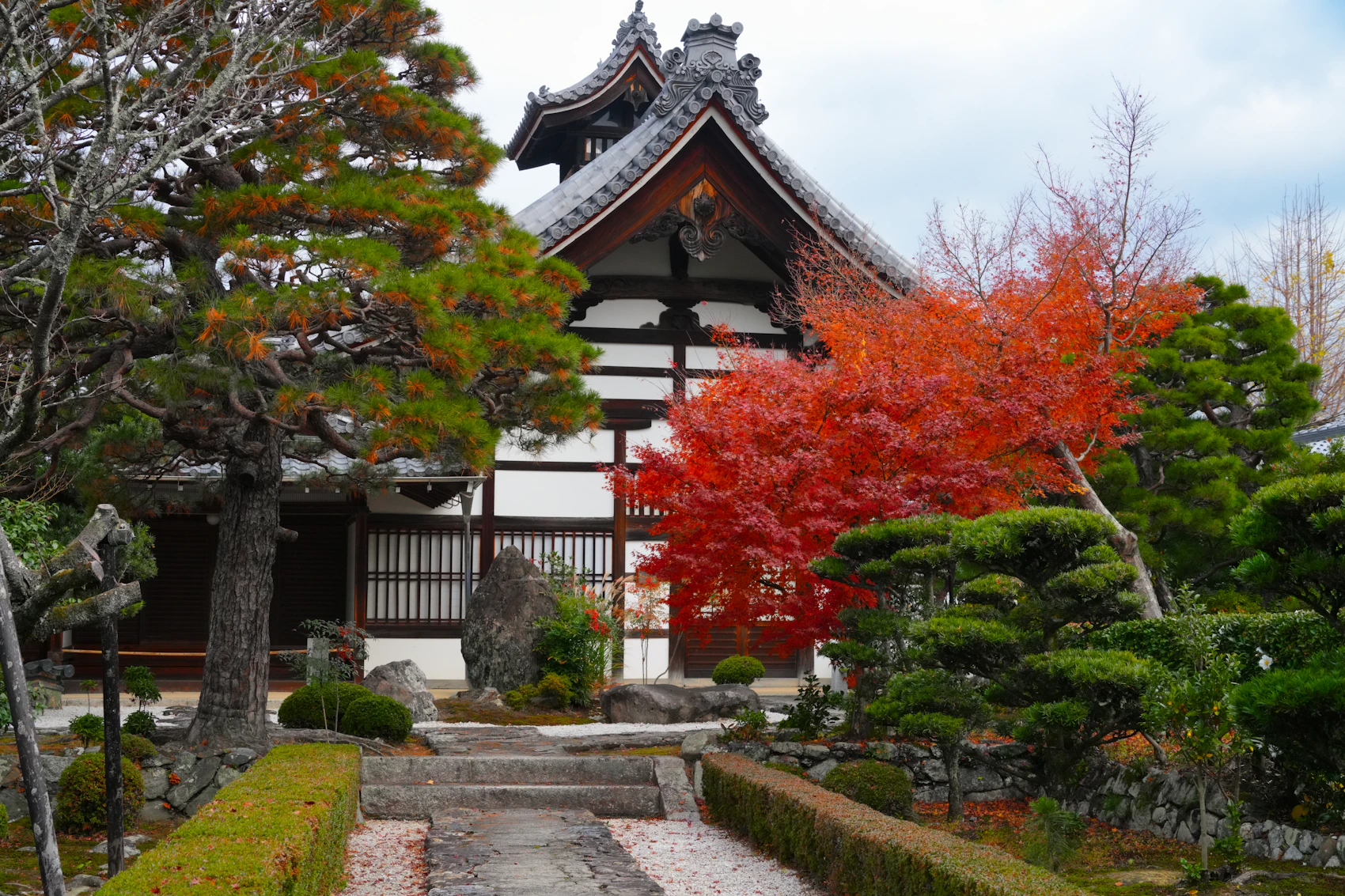 A Kyoto temple garden framed by vivid autumn leaves