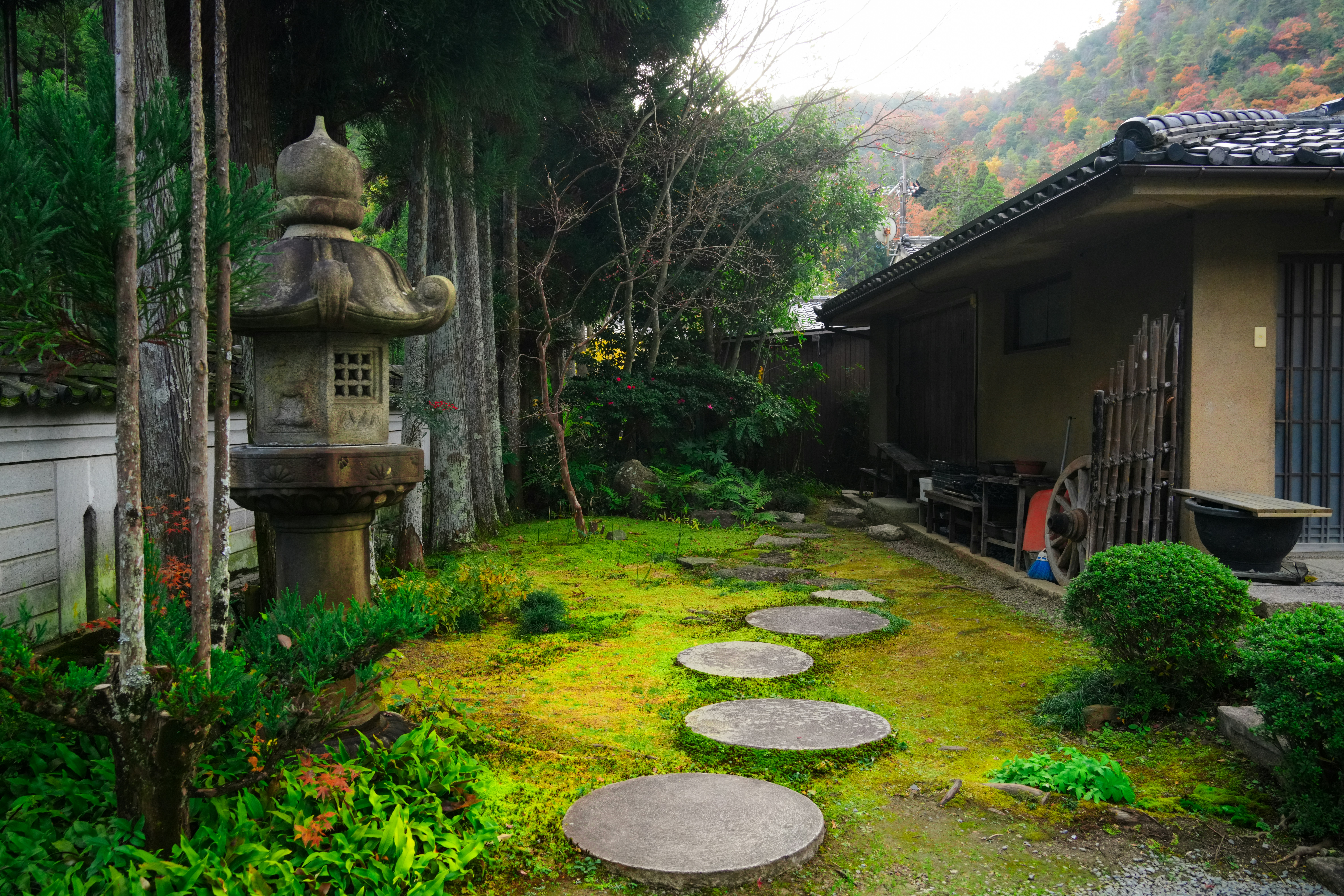 Photo by hattrick1996