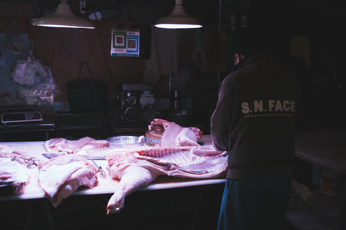 Raw pork primals on processing table
