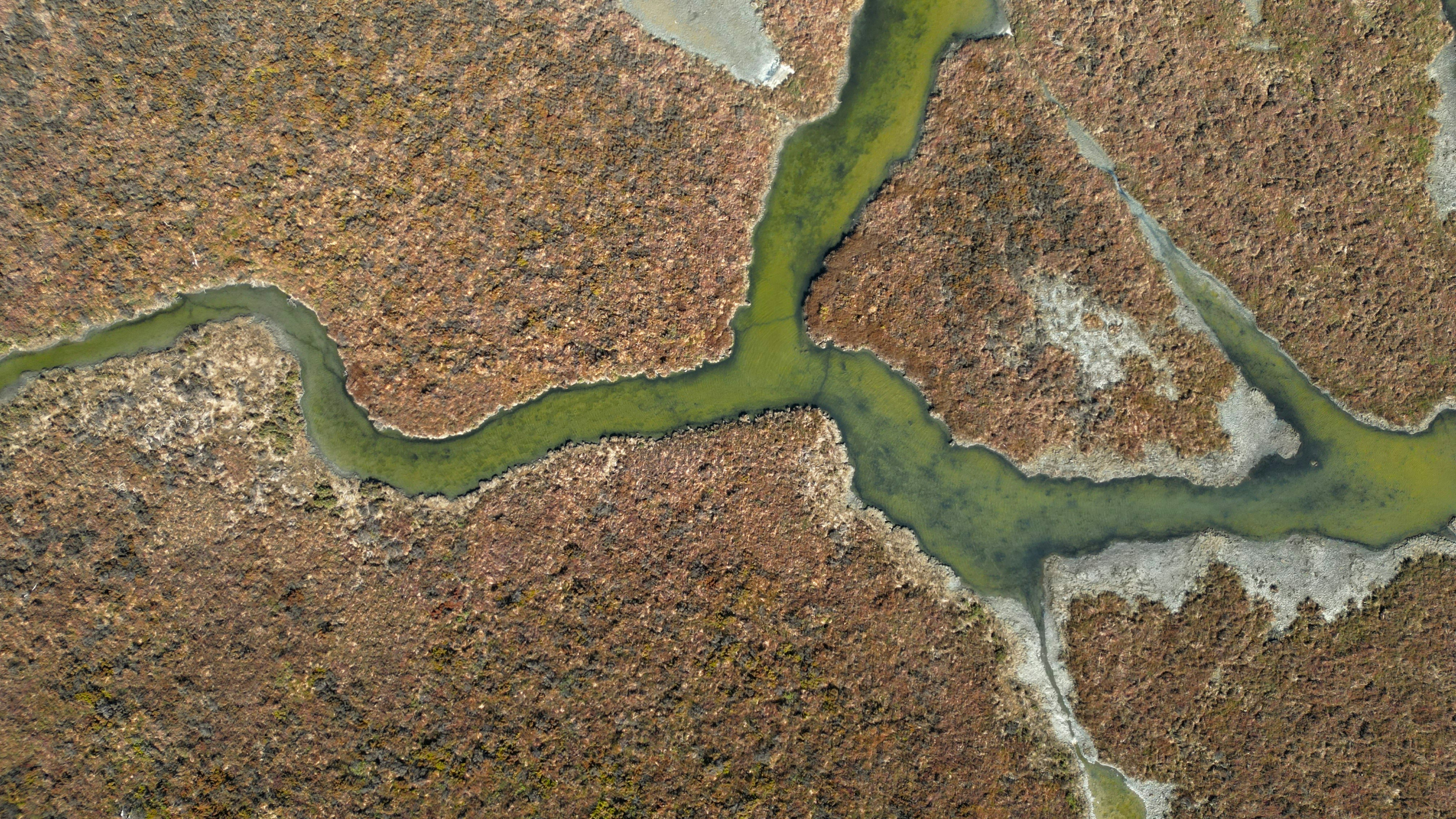 A Fundamental Handbook to Selecting the Right Authorized Representative