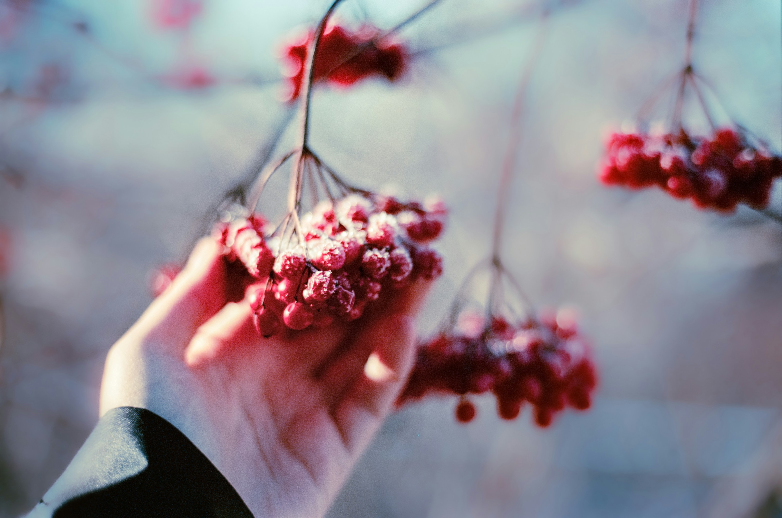 Photo by mineral_of_demon