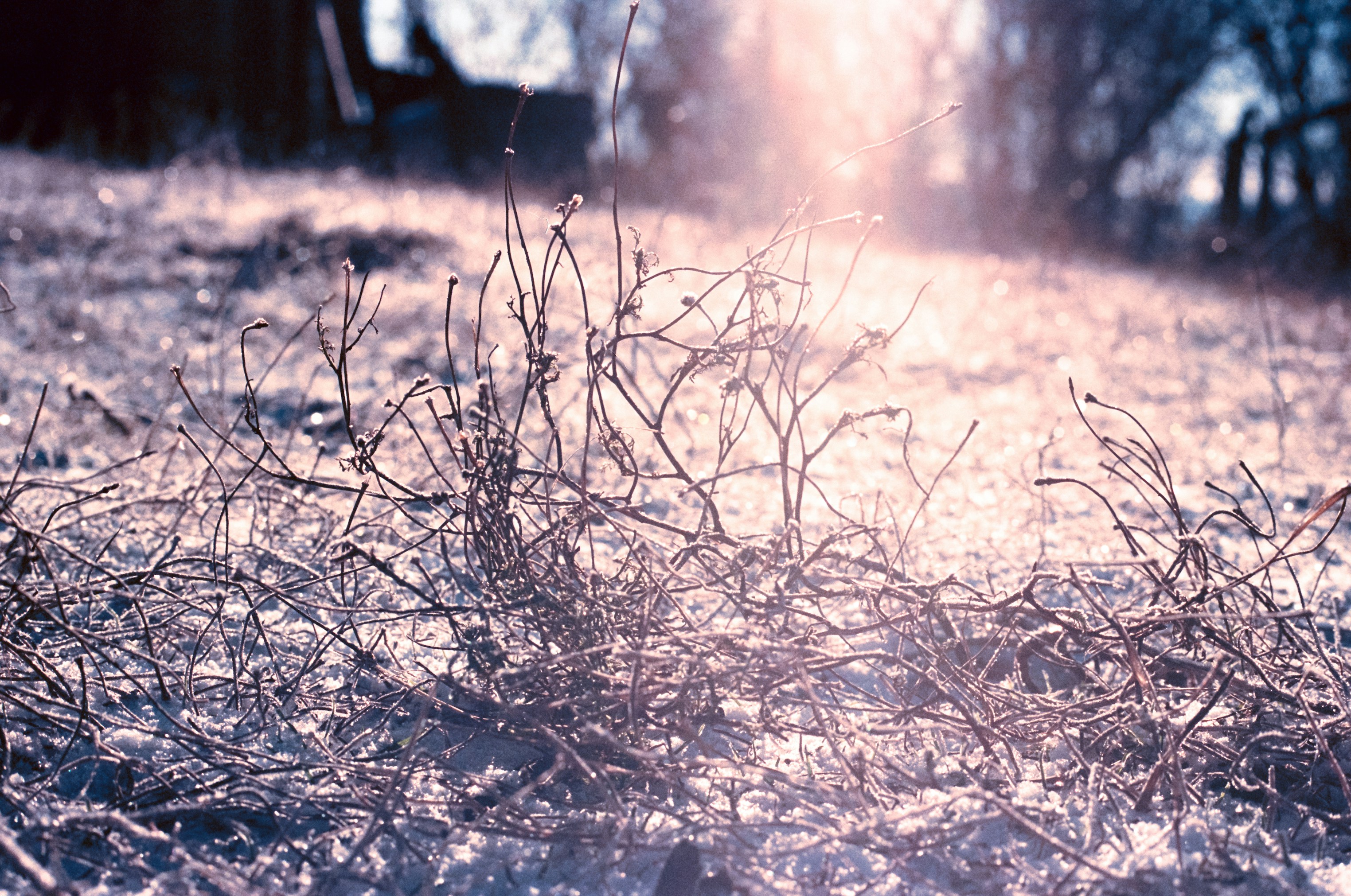Photo by mineral_of_demon