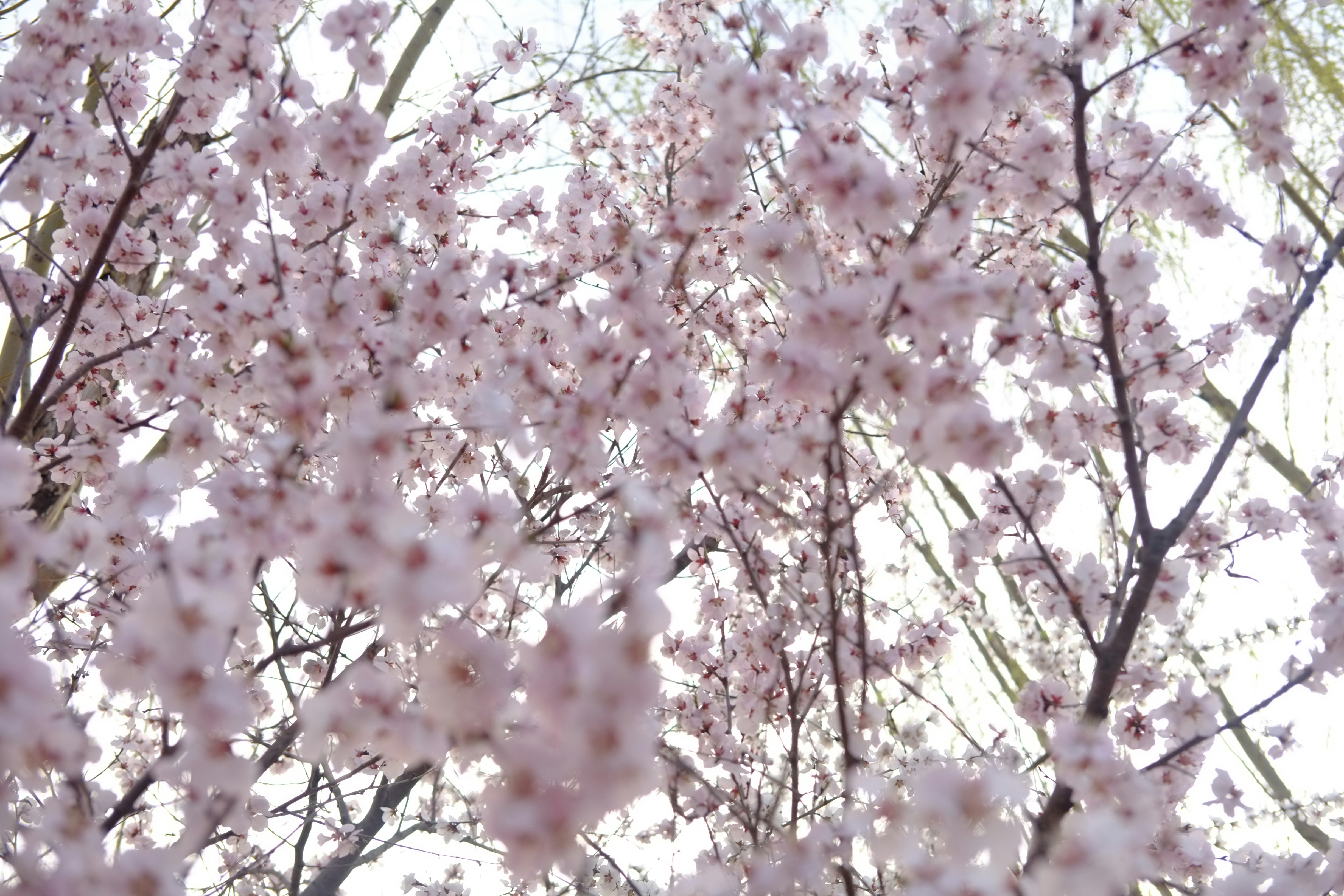 Photo by worldtravelwithjean