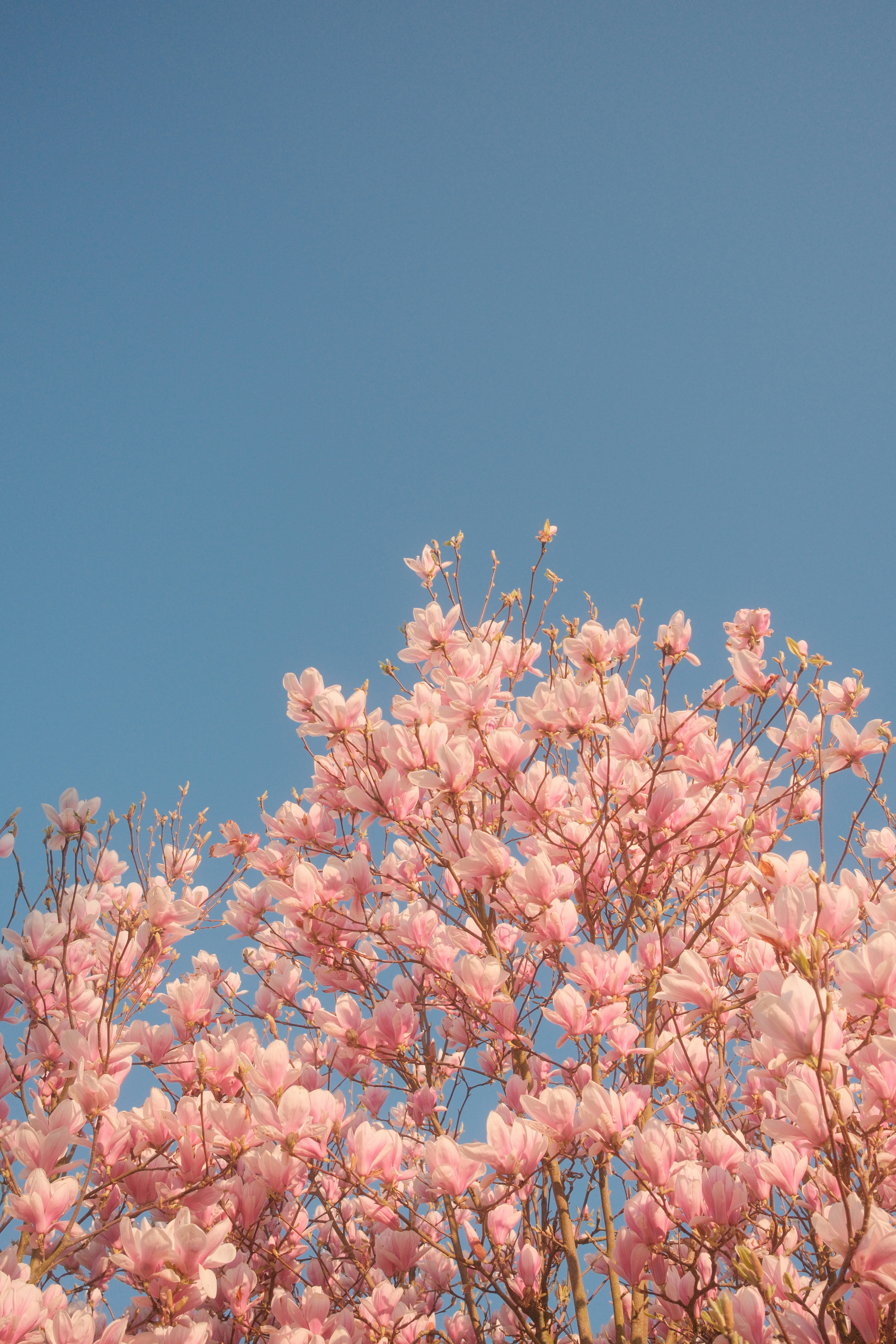 Photo by visualsbying