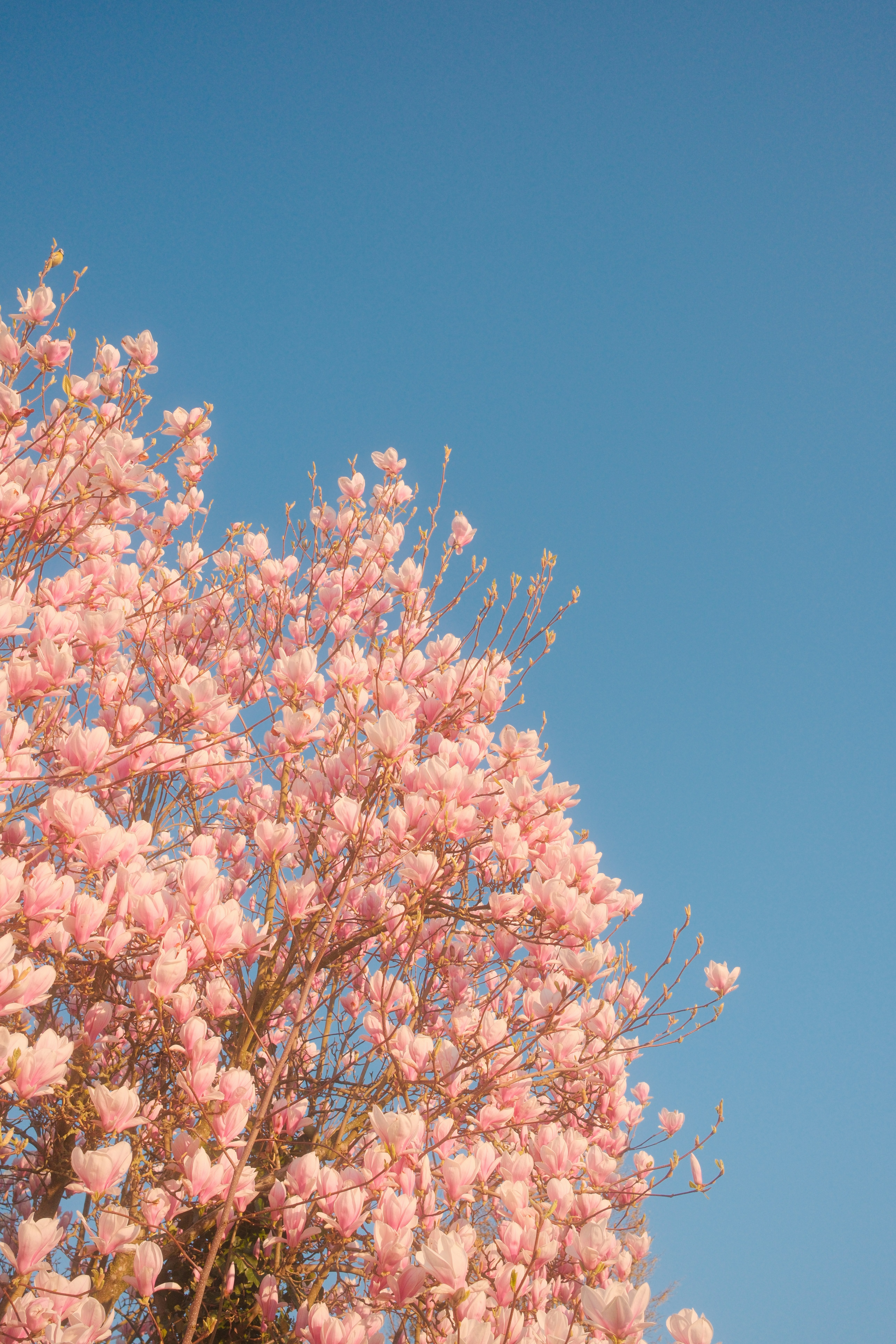 Photo by visualsbying