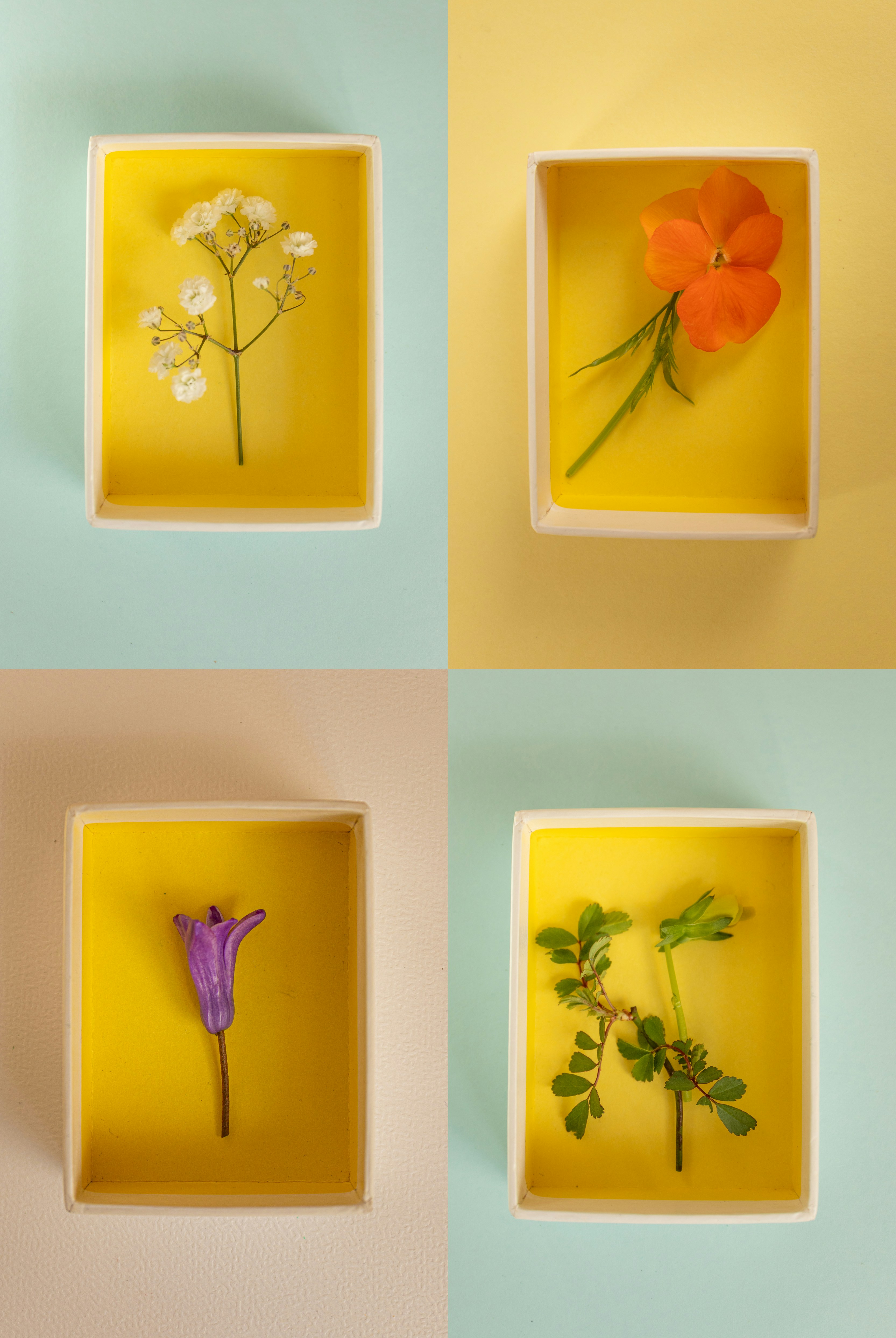 pastel study aesthetic, wallpaper, Bisnis Modal Kecil untuk Pelajar: Ide & Tips 3