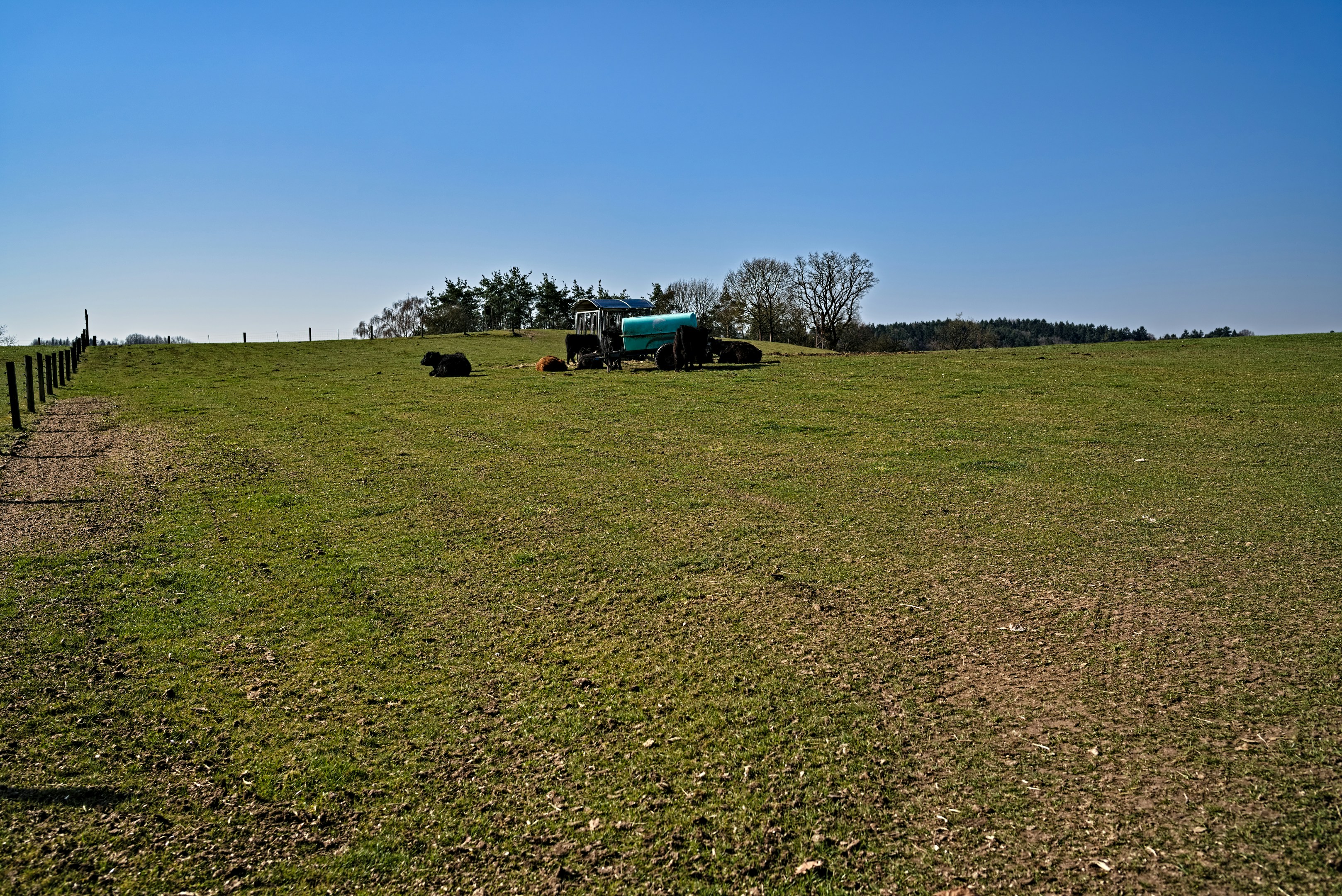 Tractor and hay bales in a sunny green field.