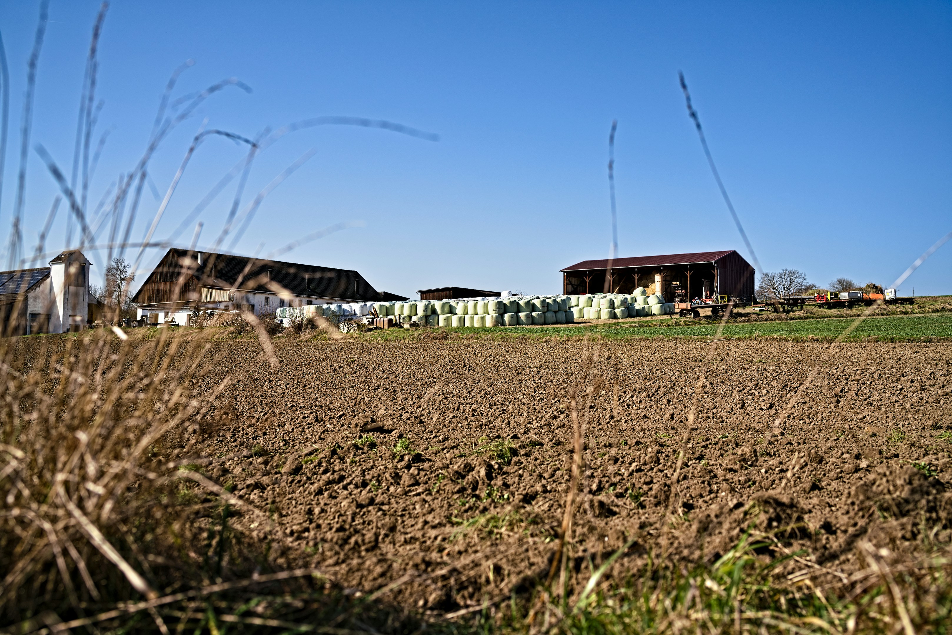 Farm buildings under a clear blue sky