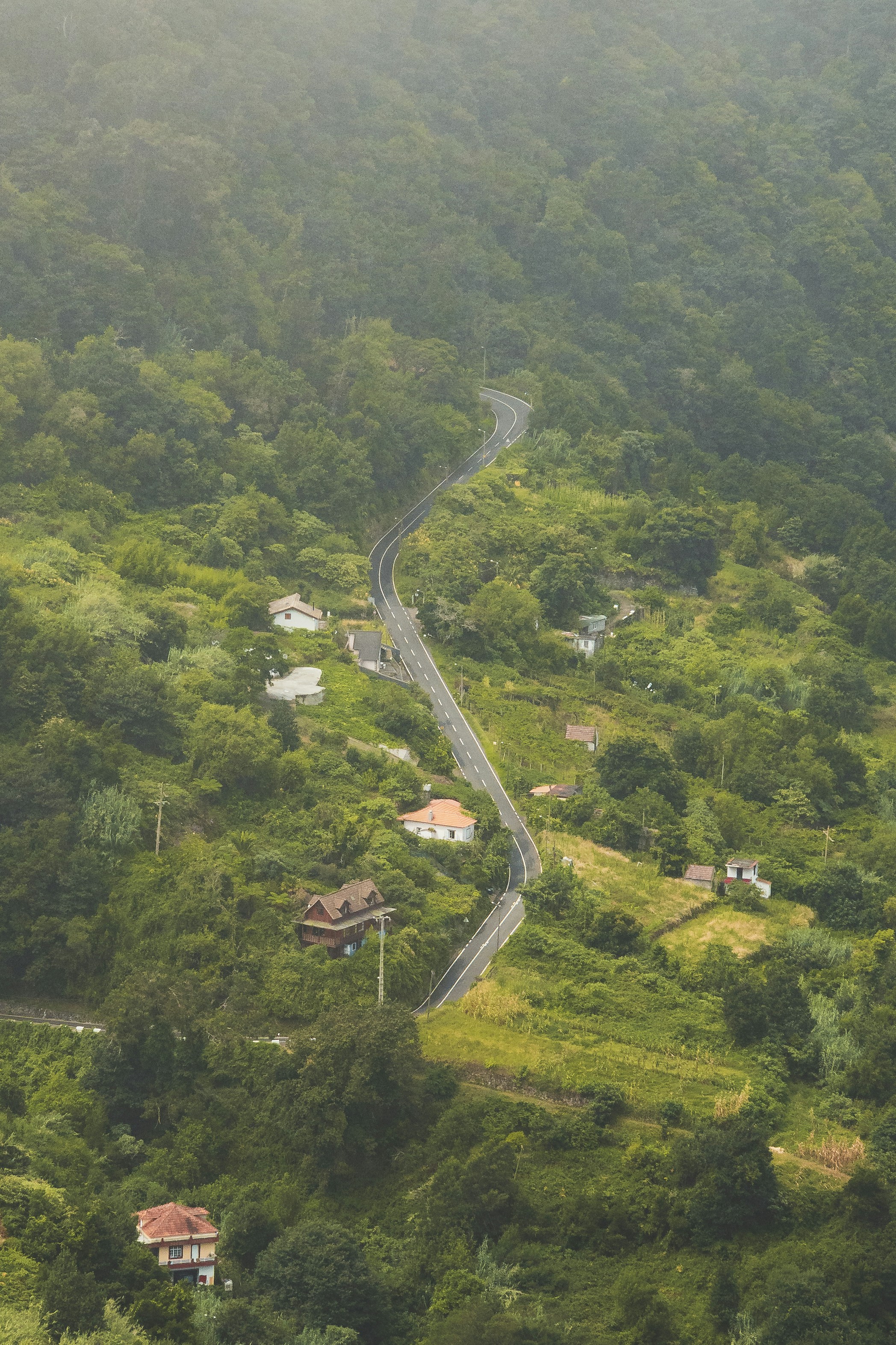 Photo by raw_capture_by