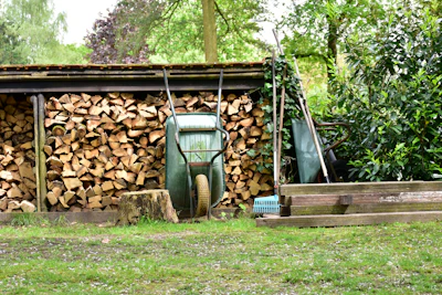Wheelbarrow leans against stacked firewood near trees.