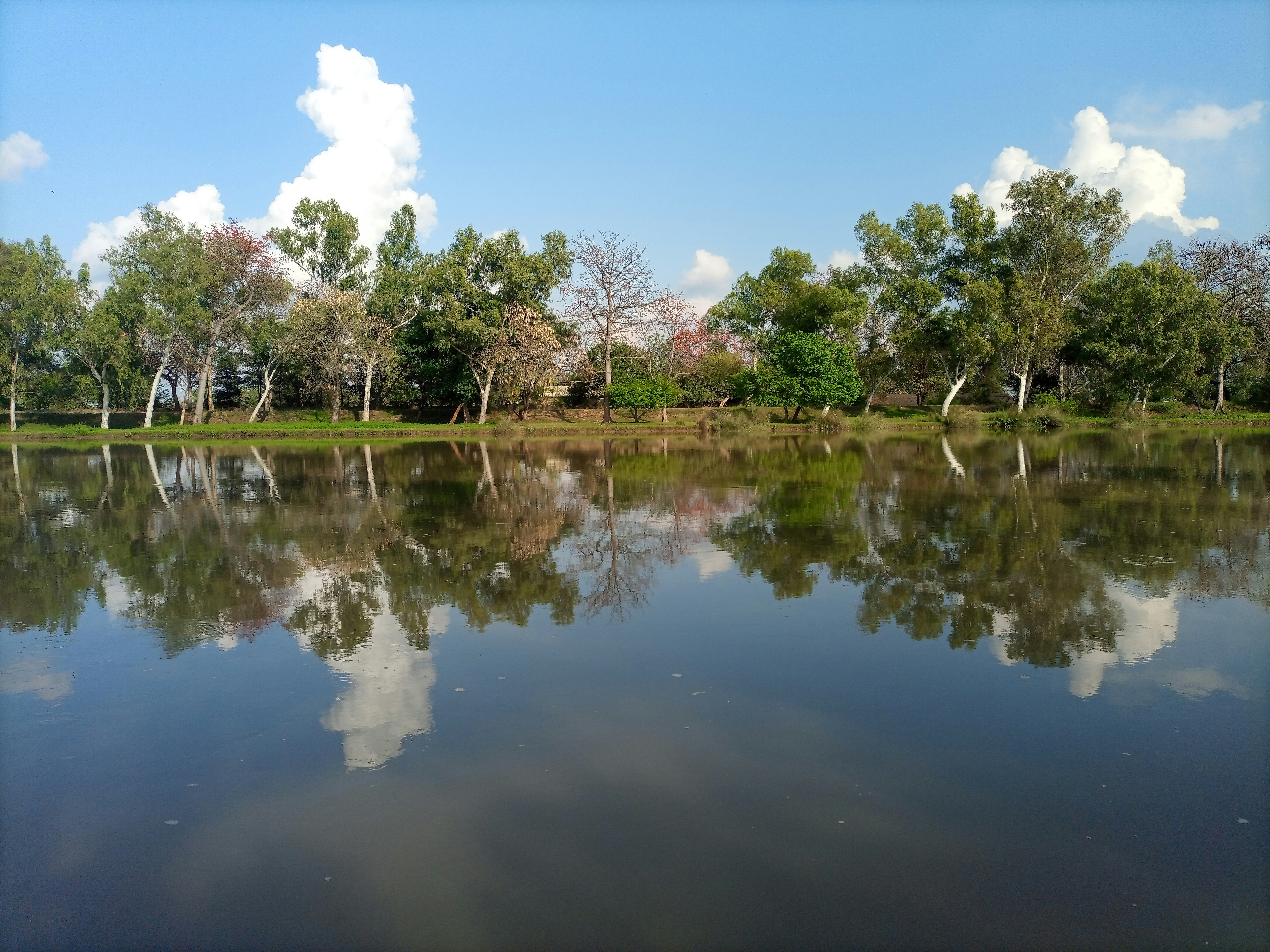Trees and clouds reflected in a calm lake. 풍경 사진