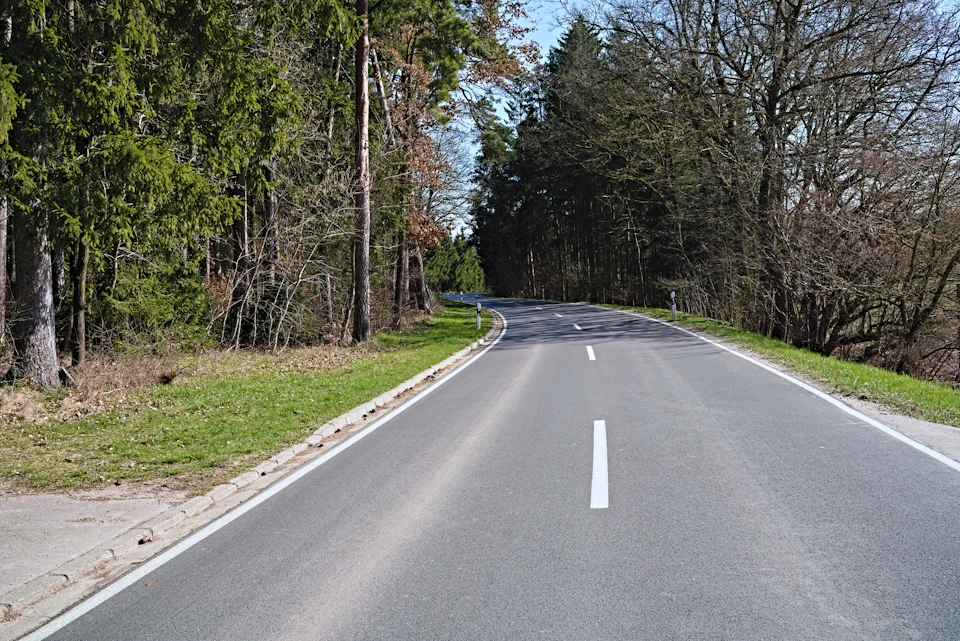 Serene two-lane road winds through lush wooded area with tall trees on either side