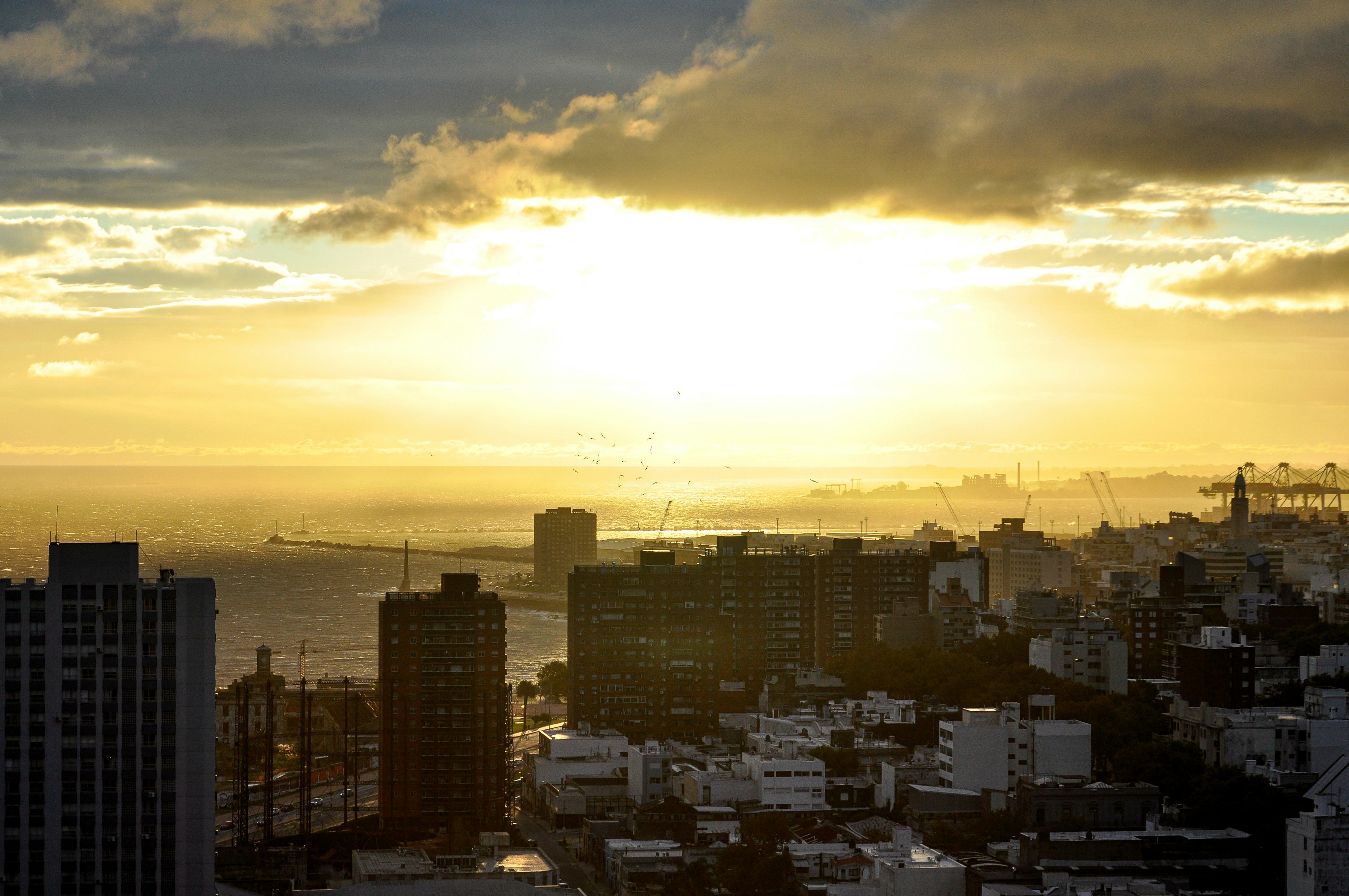 Montevideo skyline LinkedIn background — photo by Nikolai Kolosov