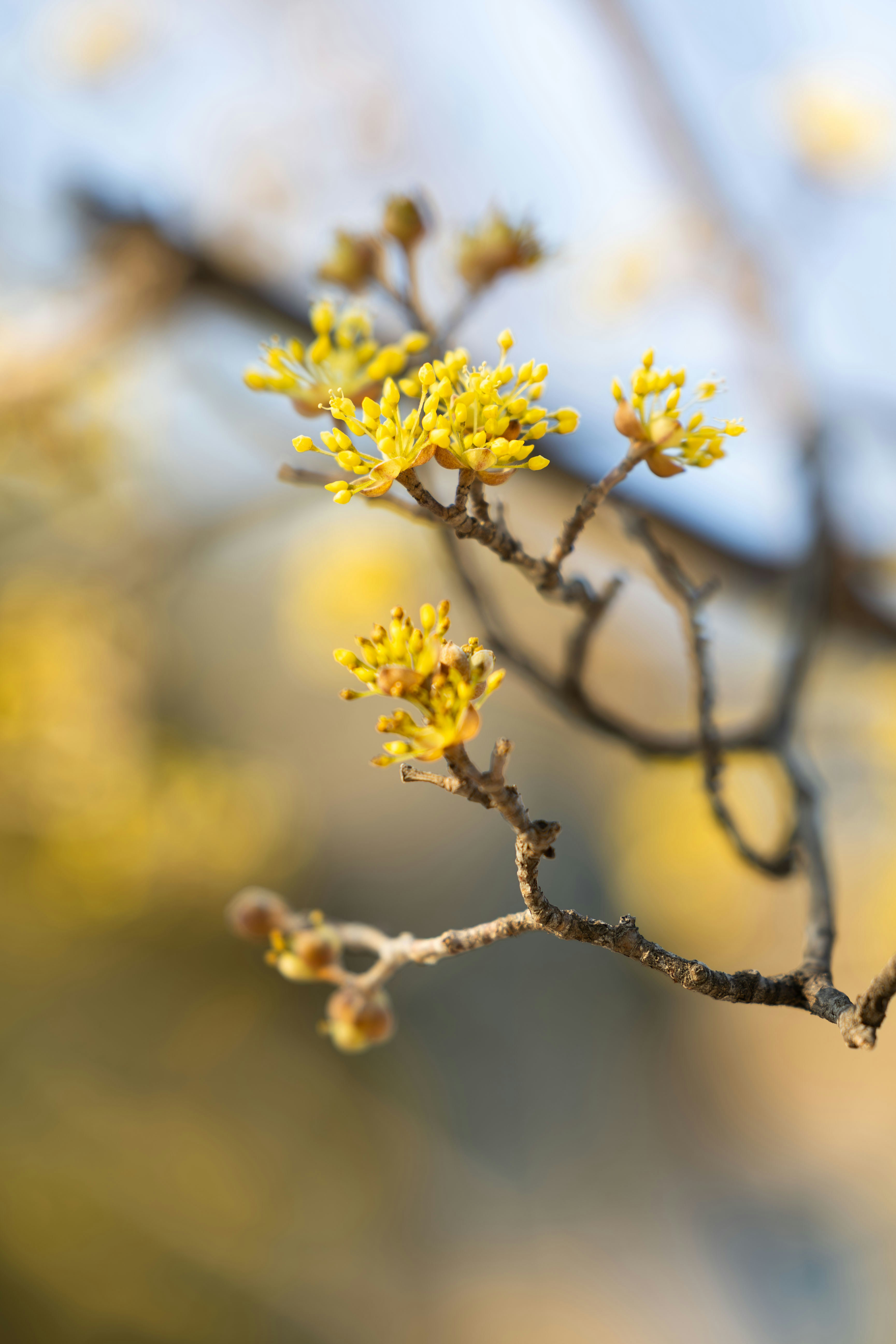 Photo by yangluhan091