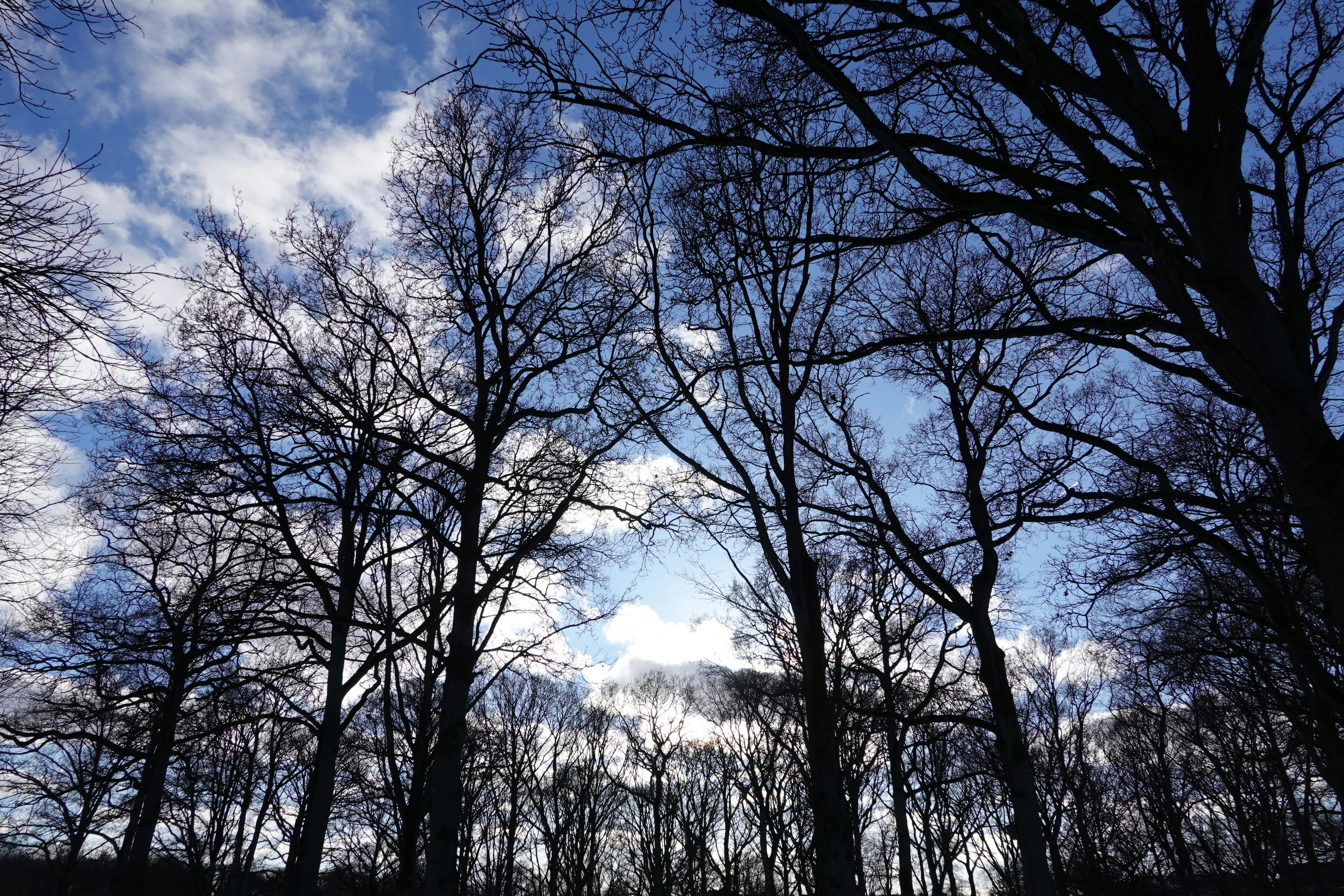 Photo by murmured