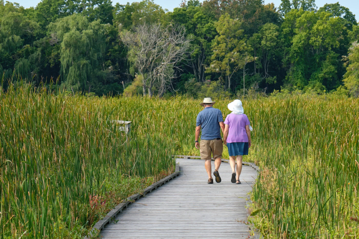 Older couple walking on a boardwalk path