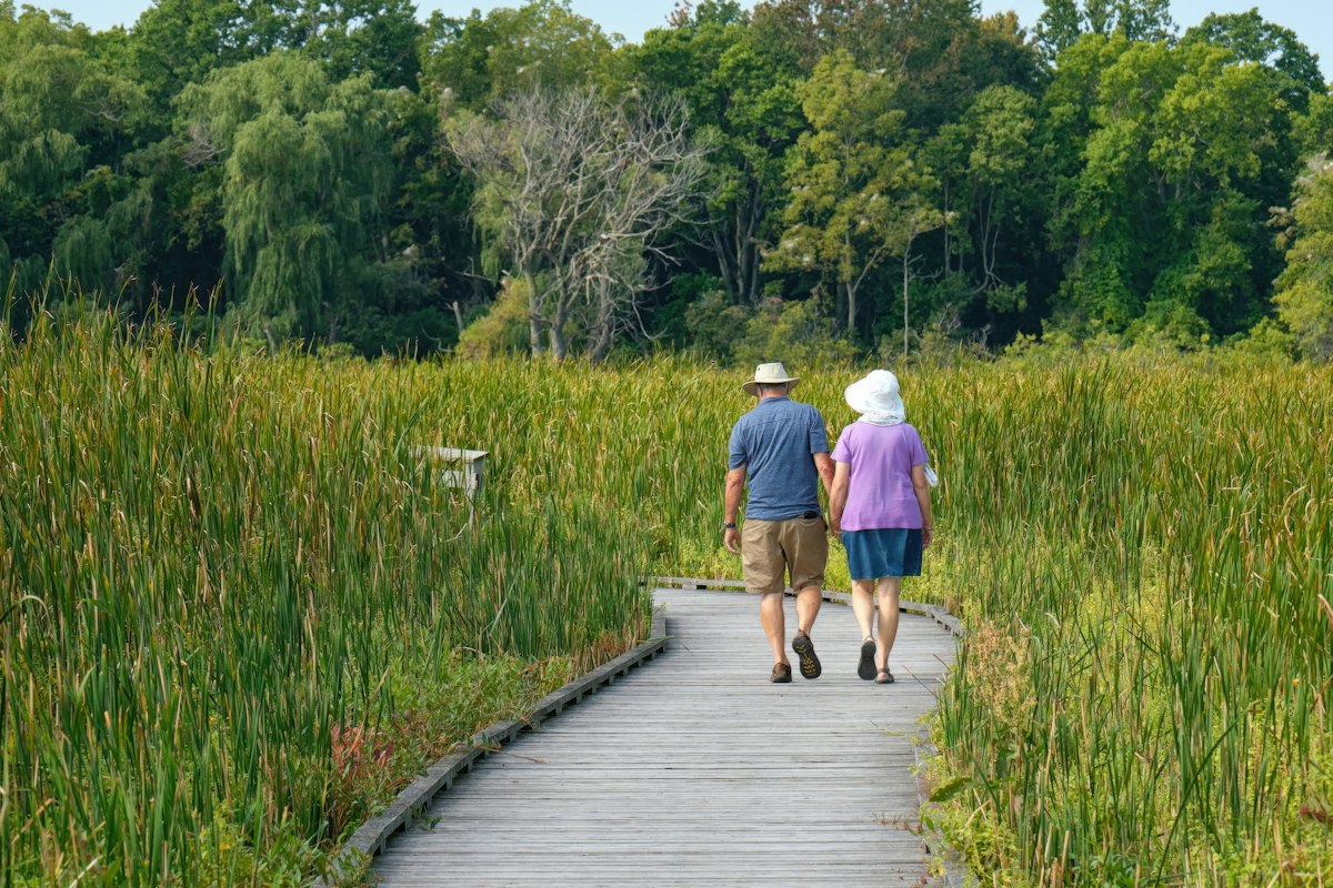 Senior couple walking together along a sunlit boardwalk near the ocean