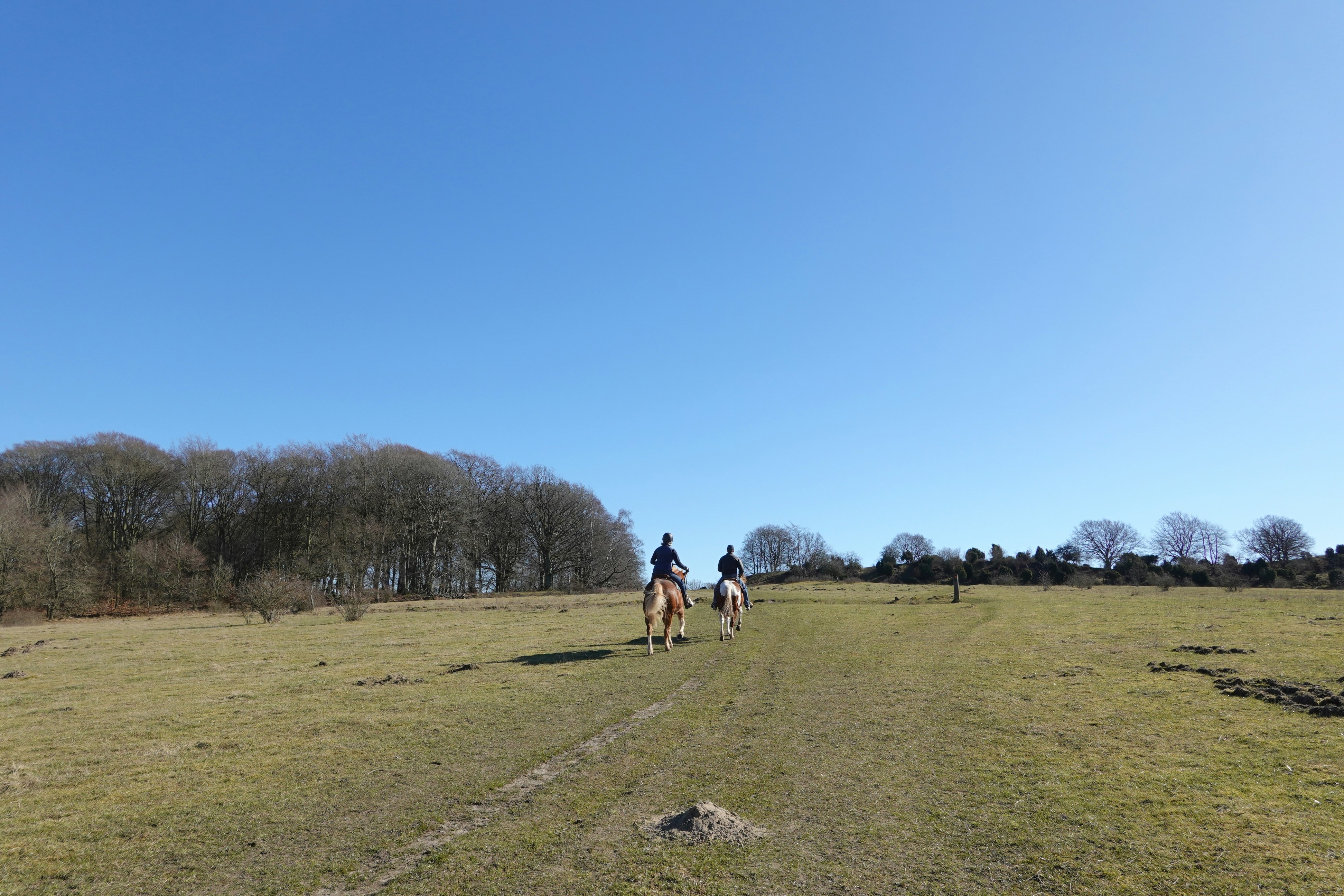 Two people riding horses across a grassy field