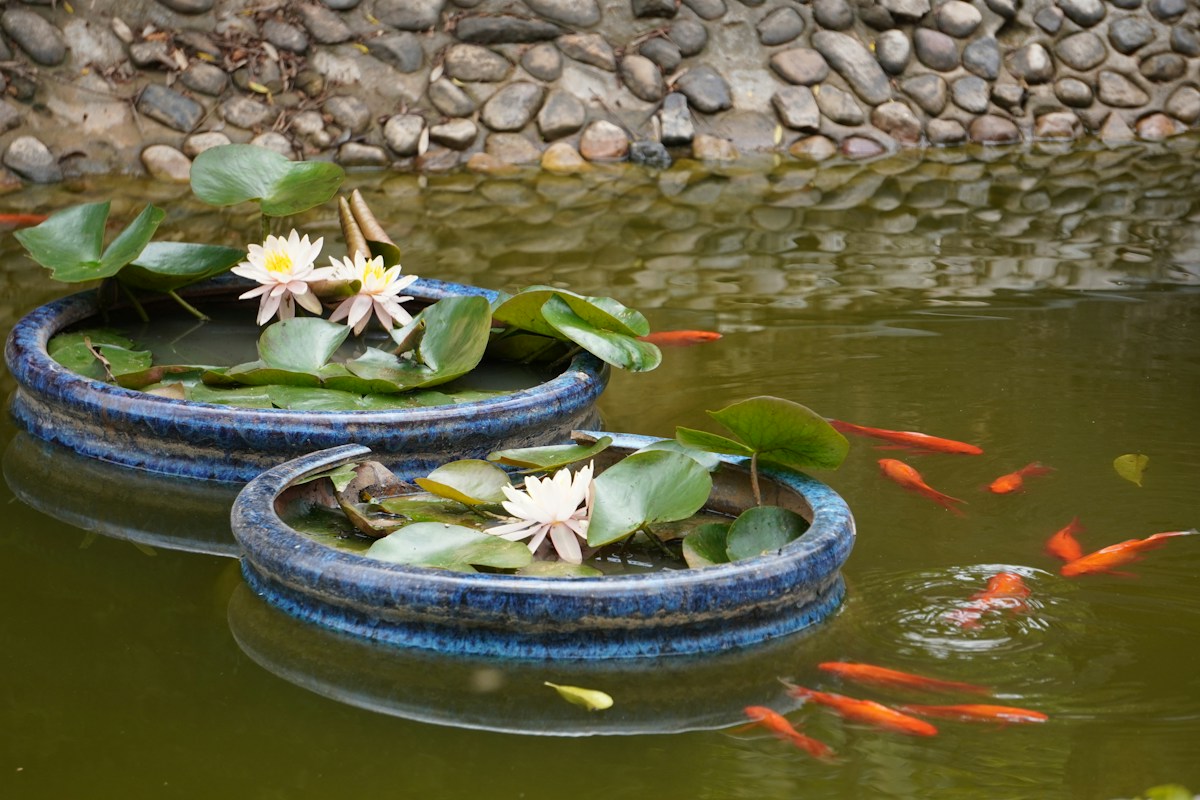 Pond Equipment Sales image background image