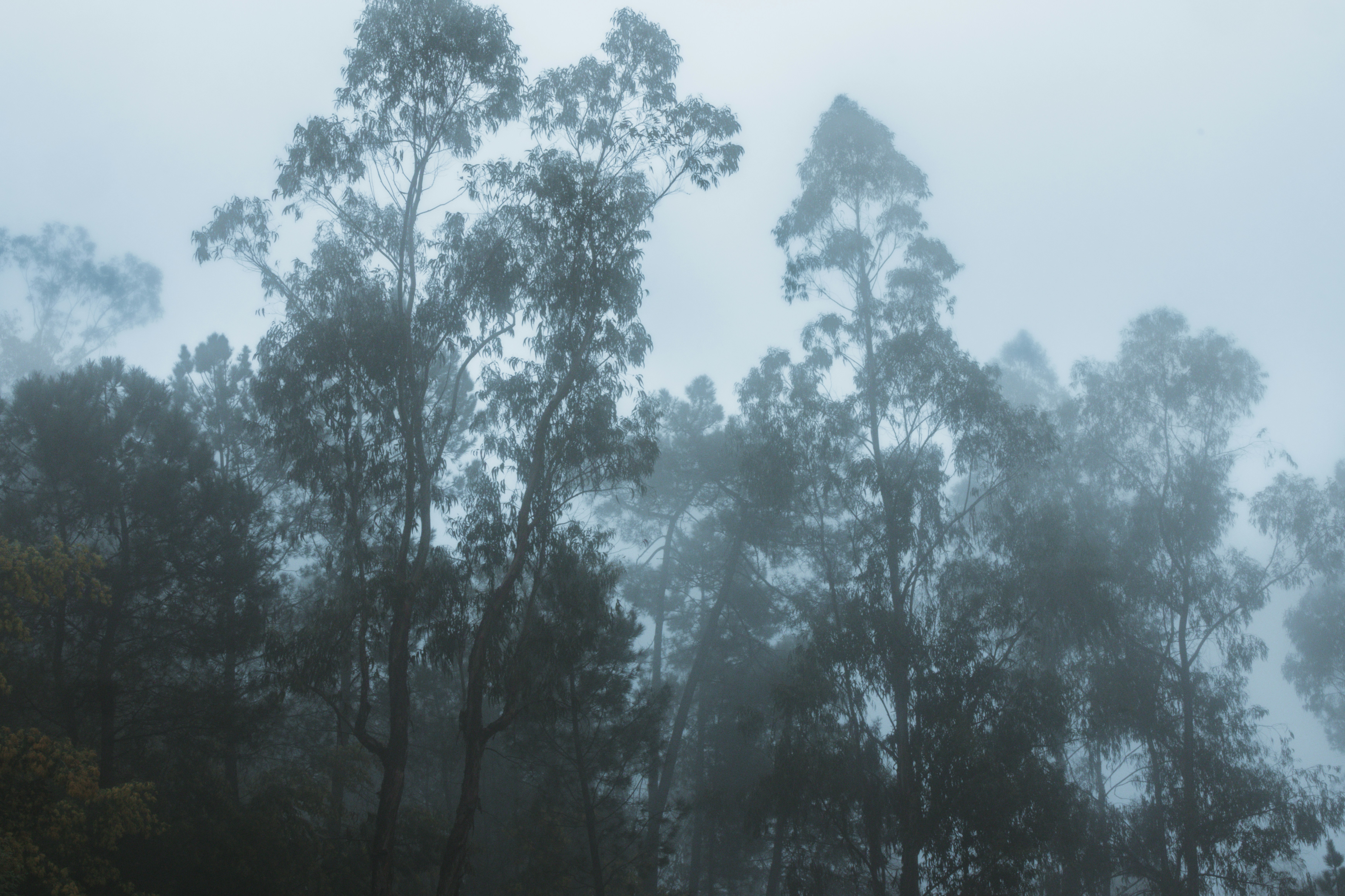 Photo by wendell_adriel