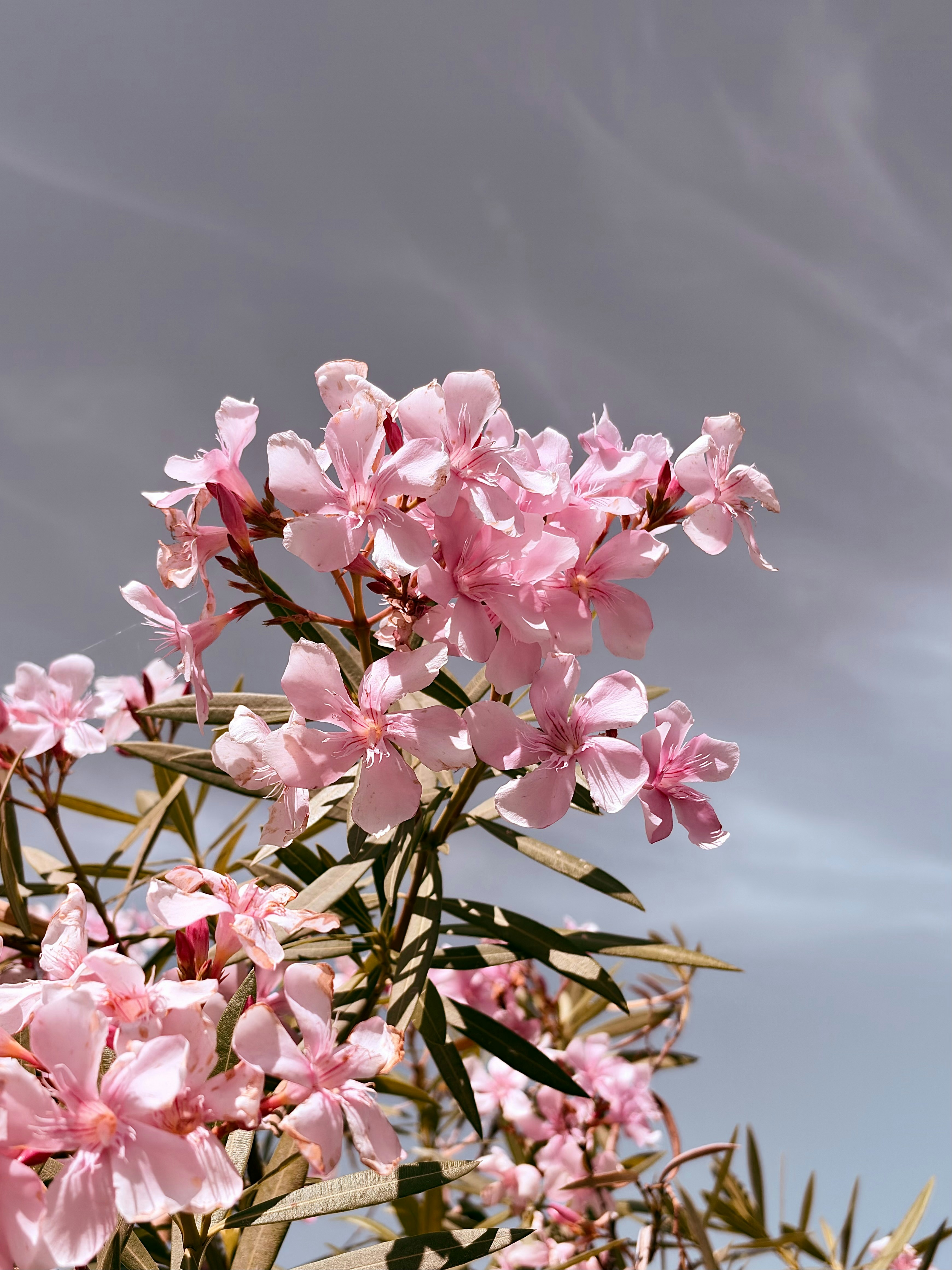 Photo by johnnysdesignlab