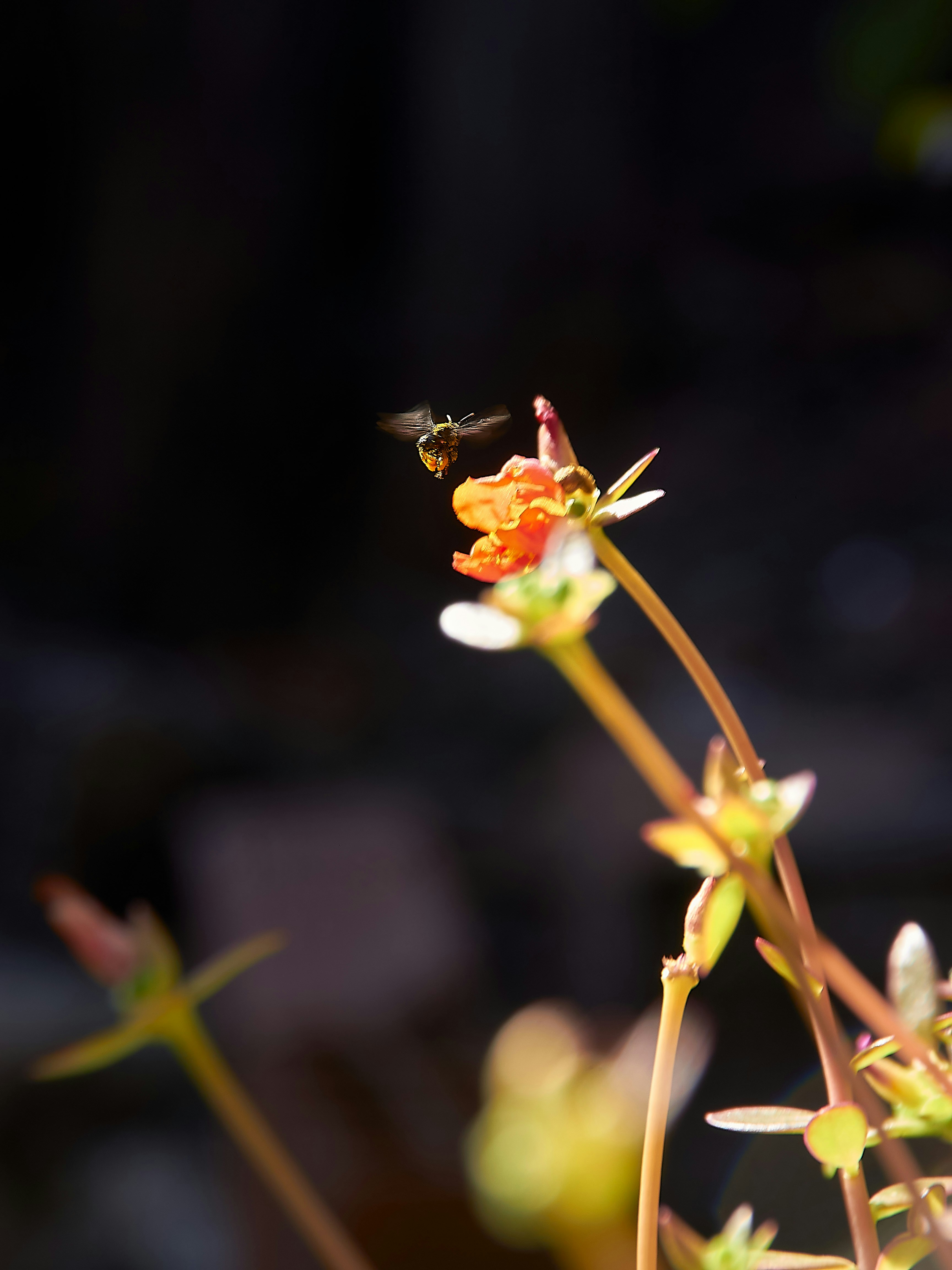 Photo by washingtonolv