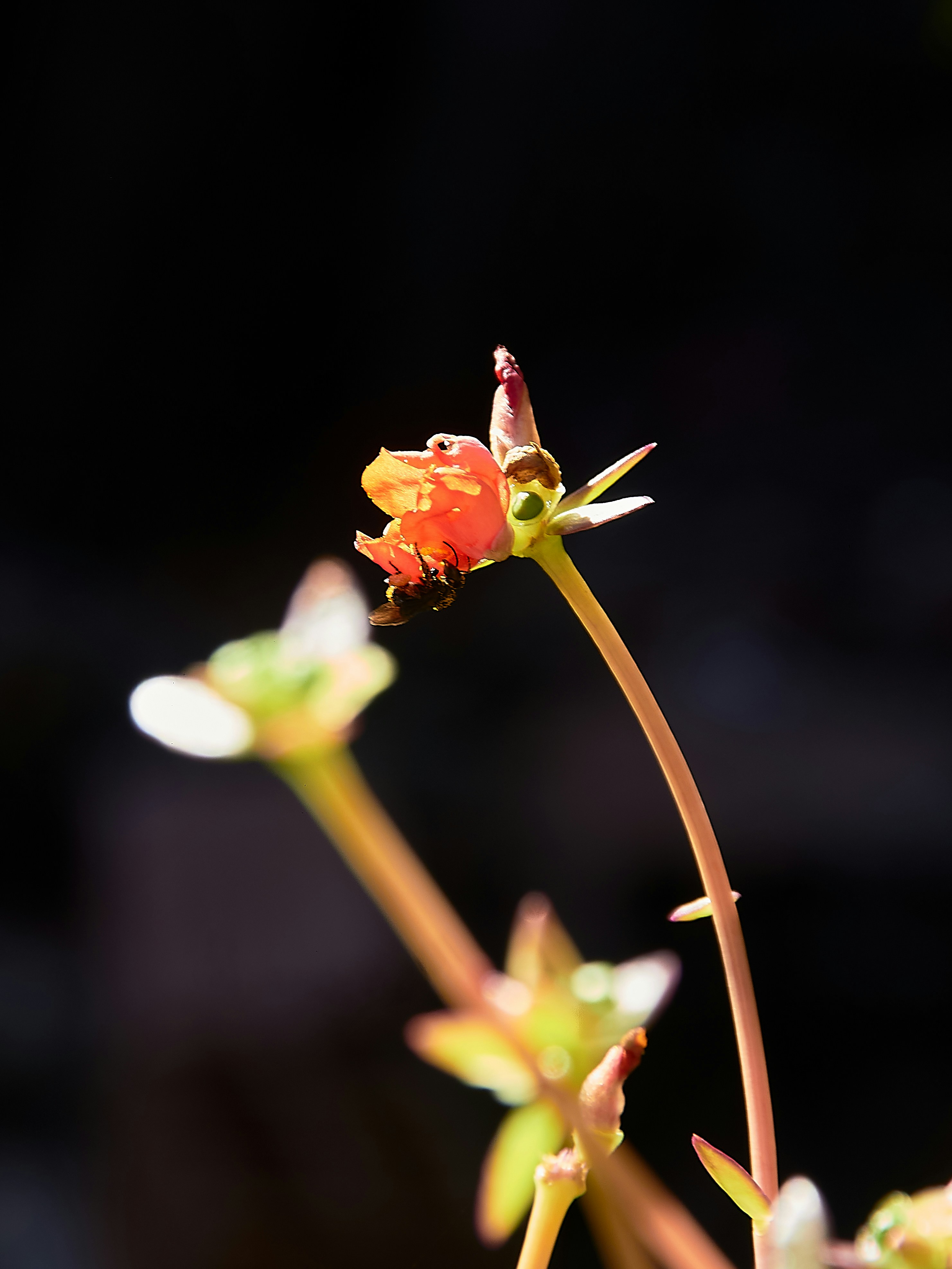 Photo by washingtonolv