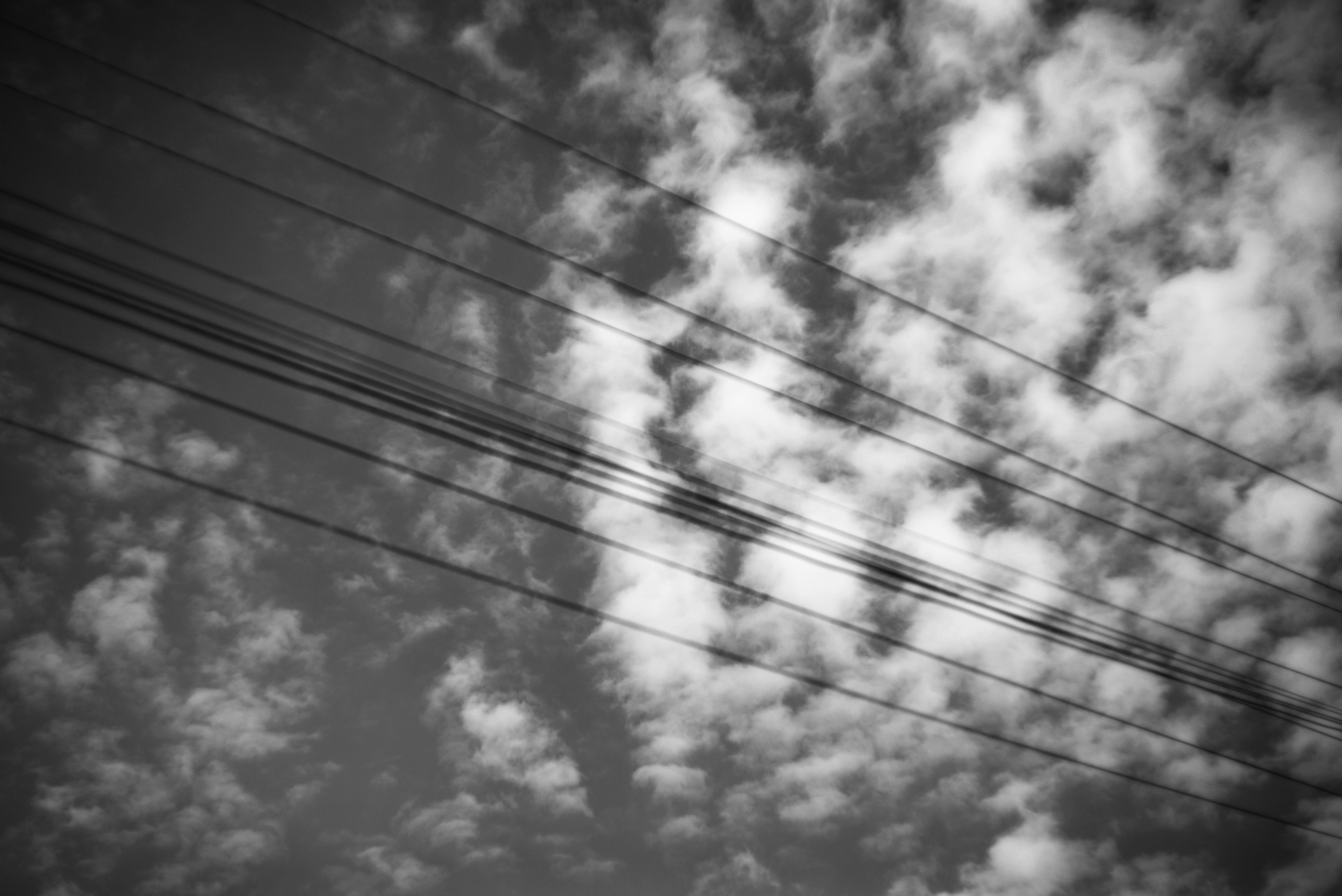 Photo by cherstve_pechivo