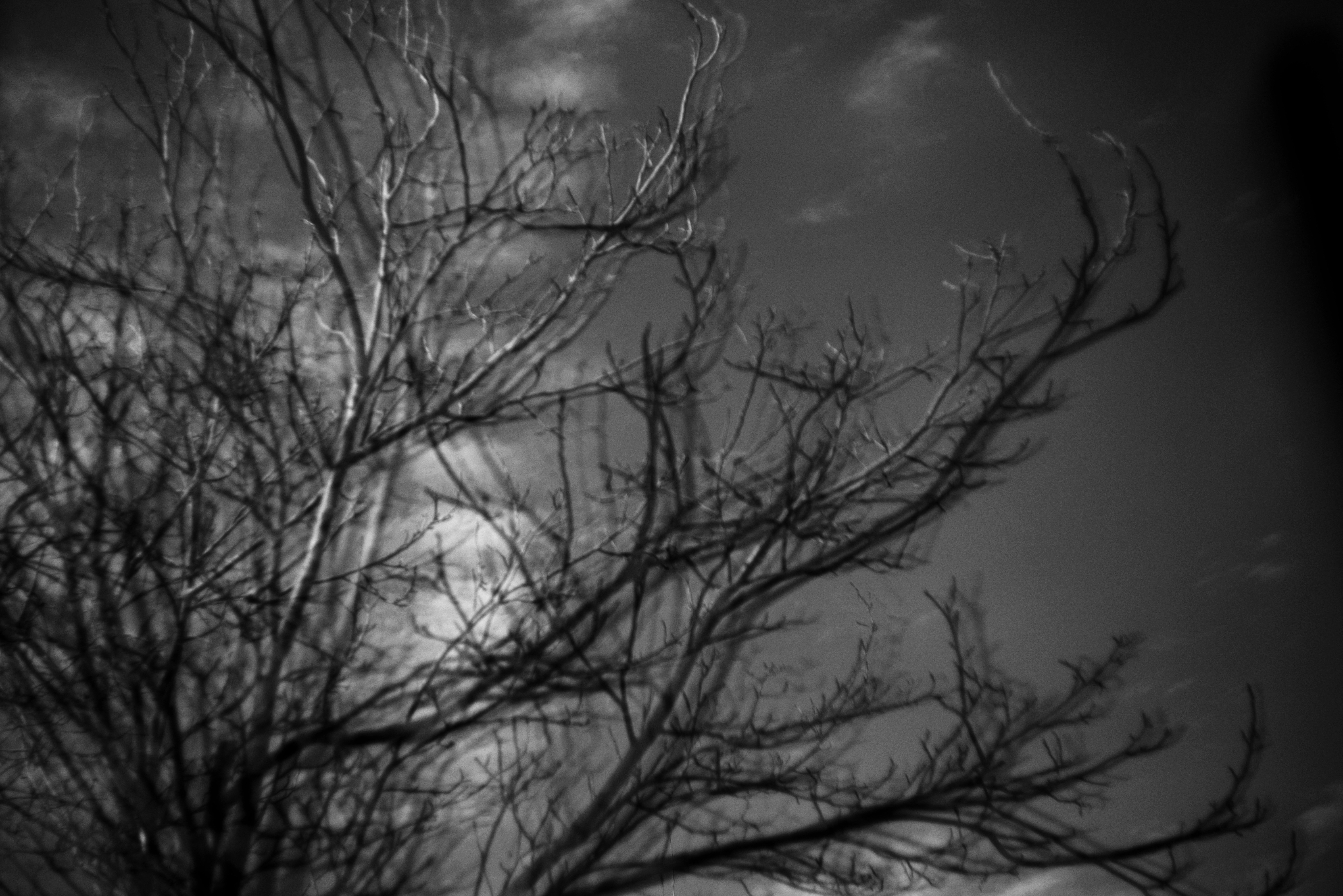 Photo by cherstve_pechivo