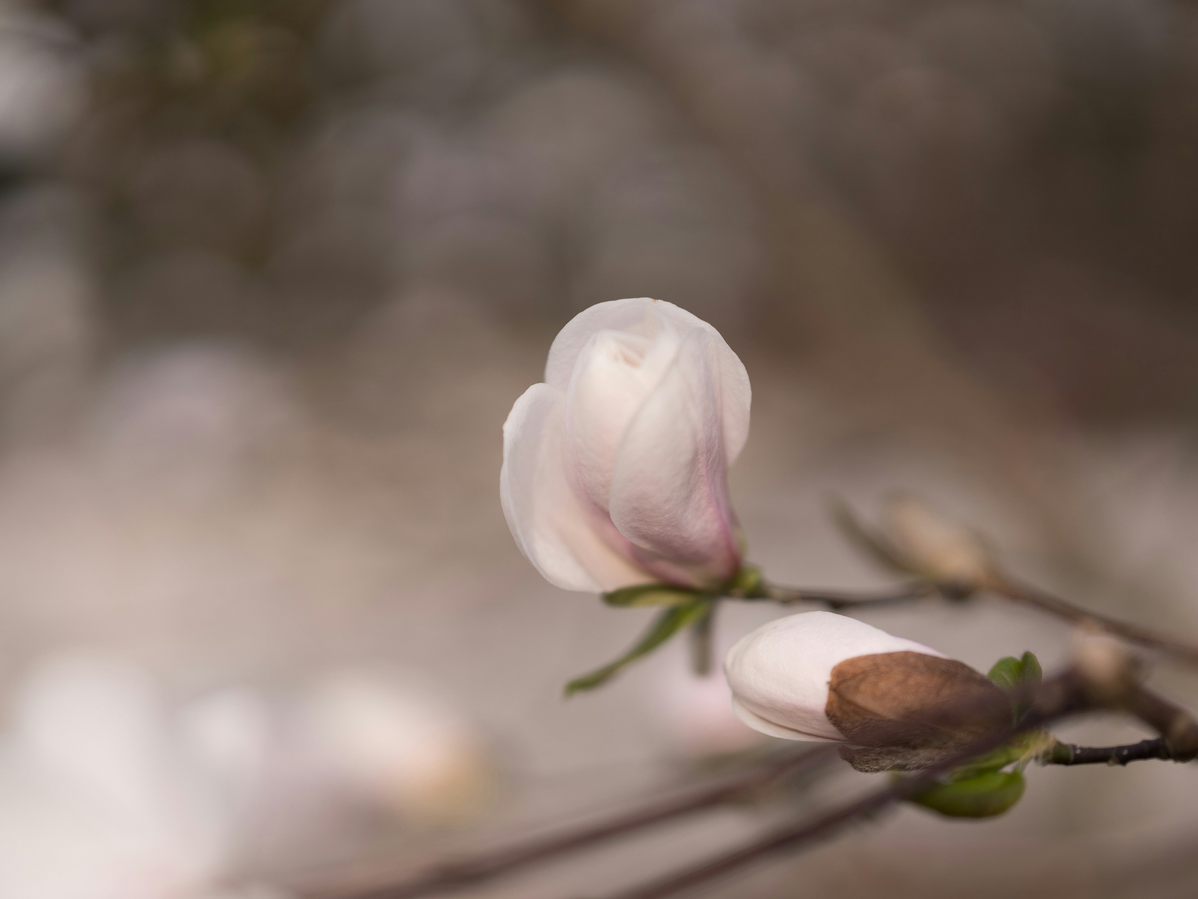 Photo by bangscreative