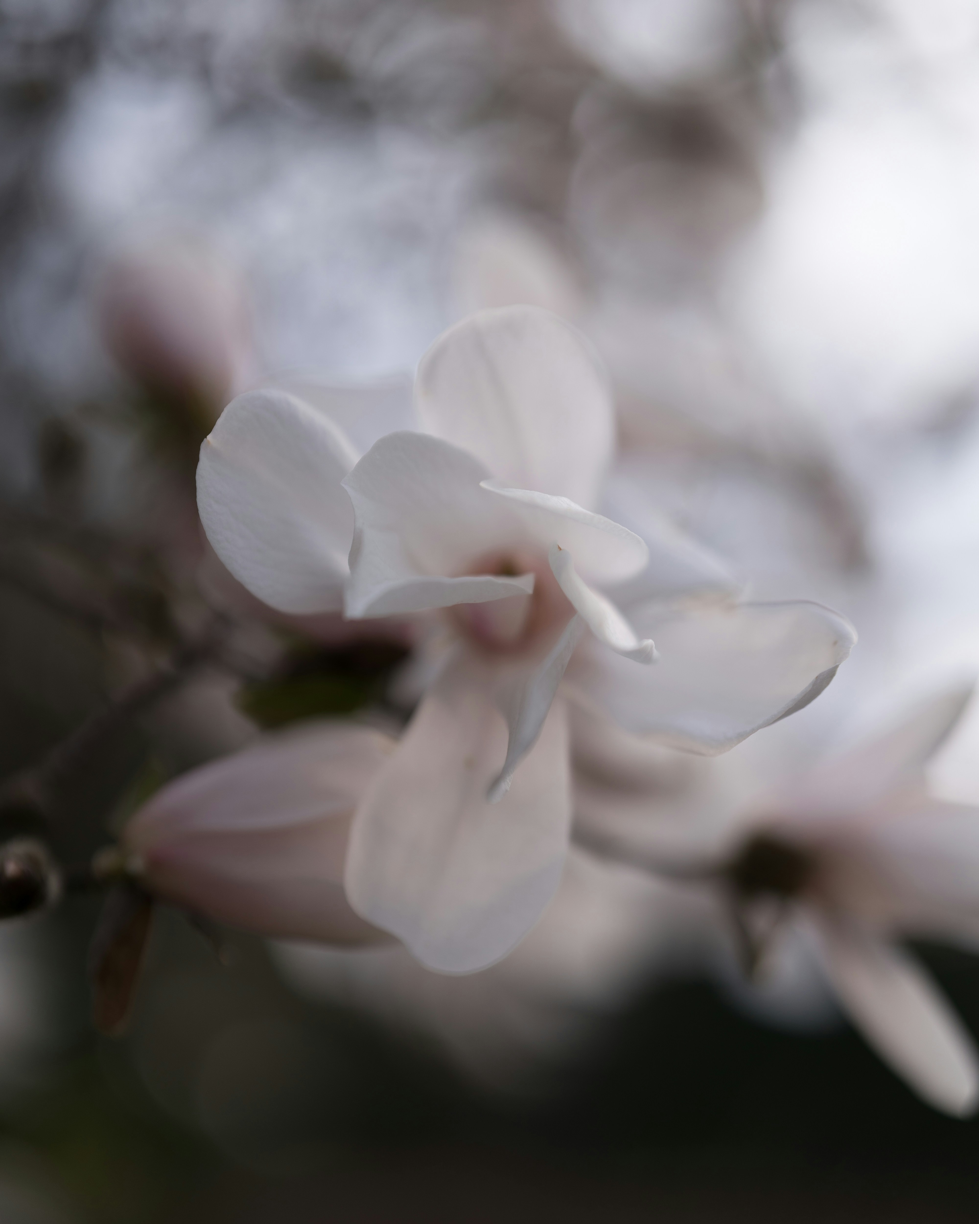 Photo by bangscreative