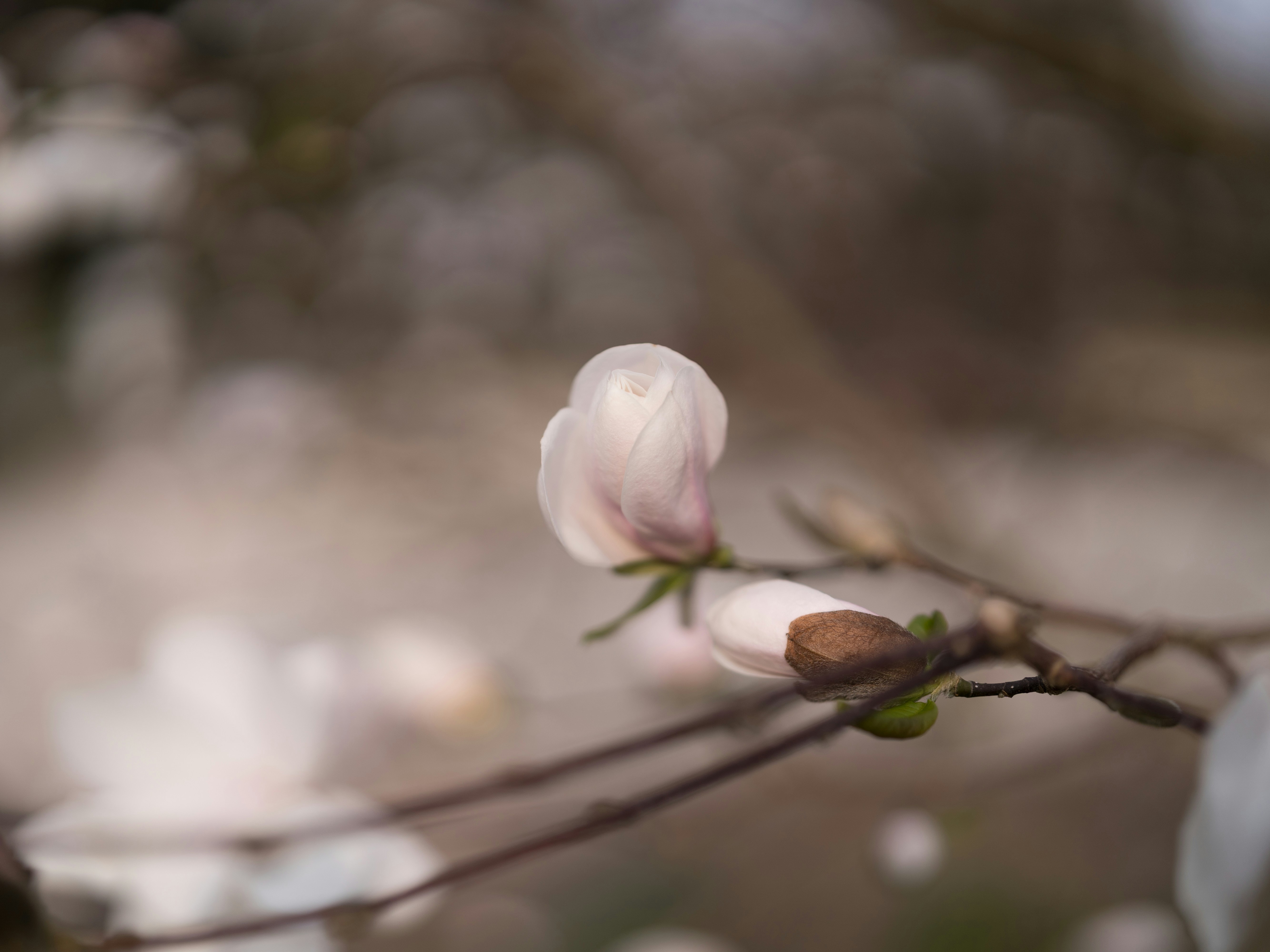 Photo by bangscreative