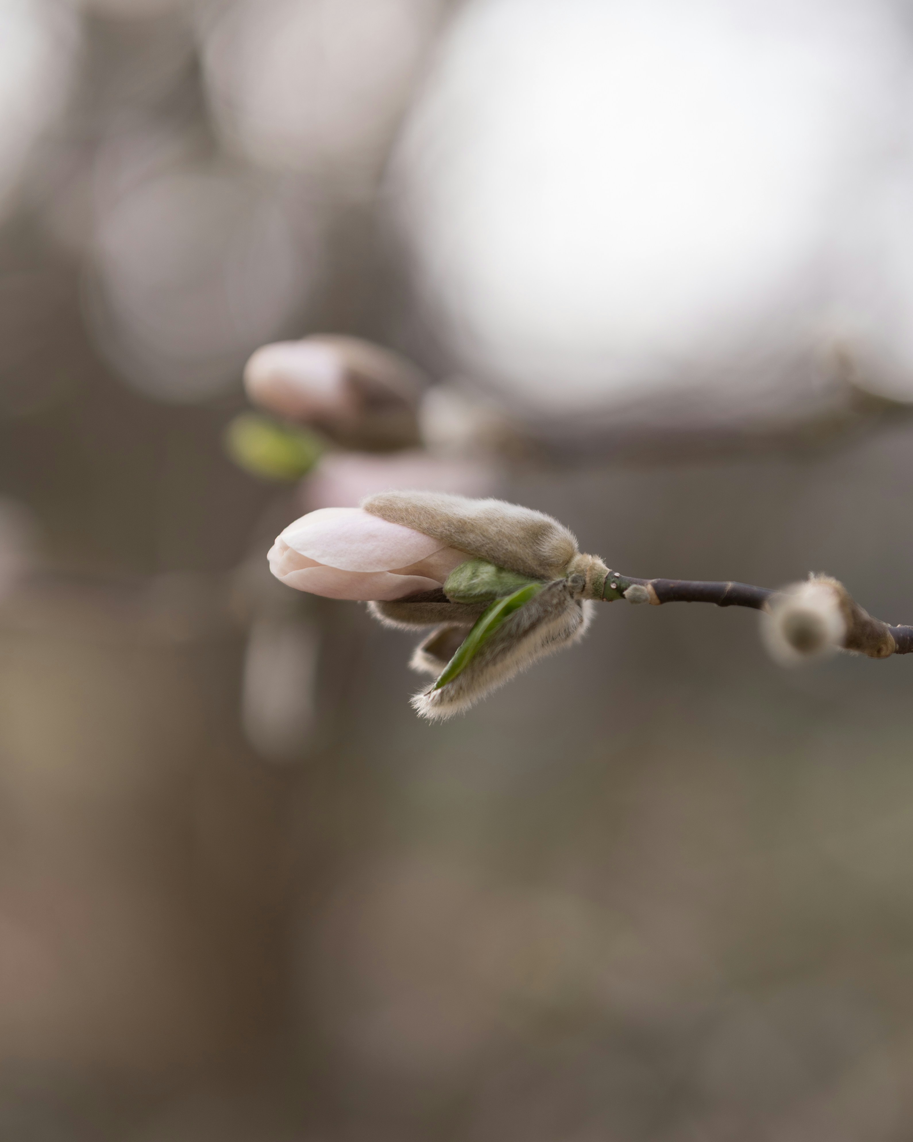 Photo by bangscreative