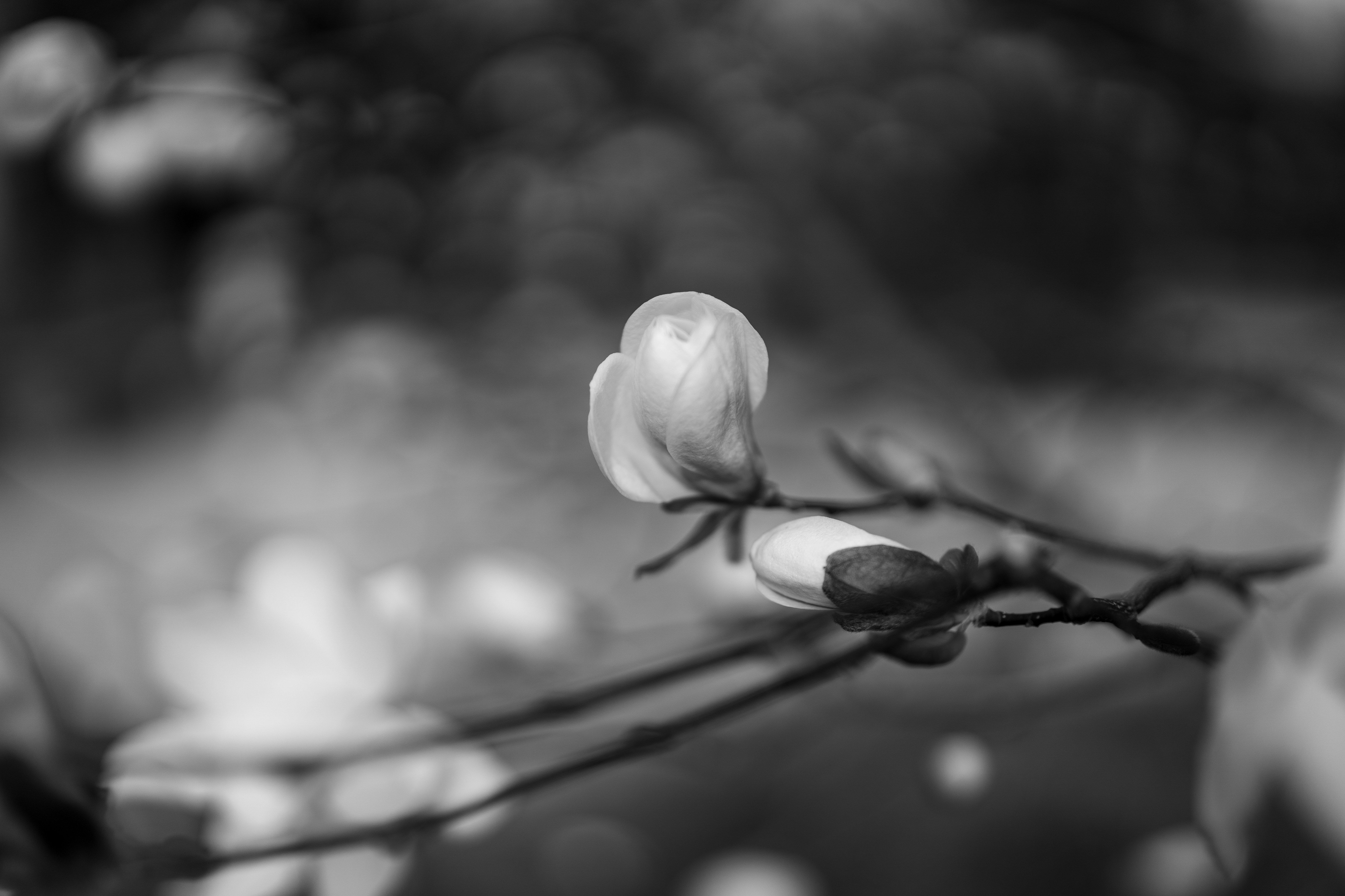 Photo by bangscreative