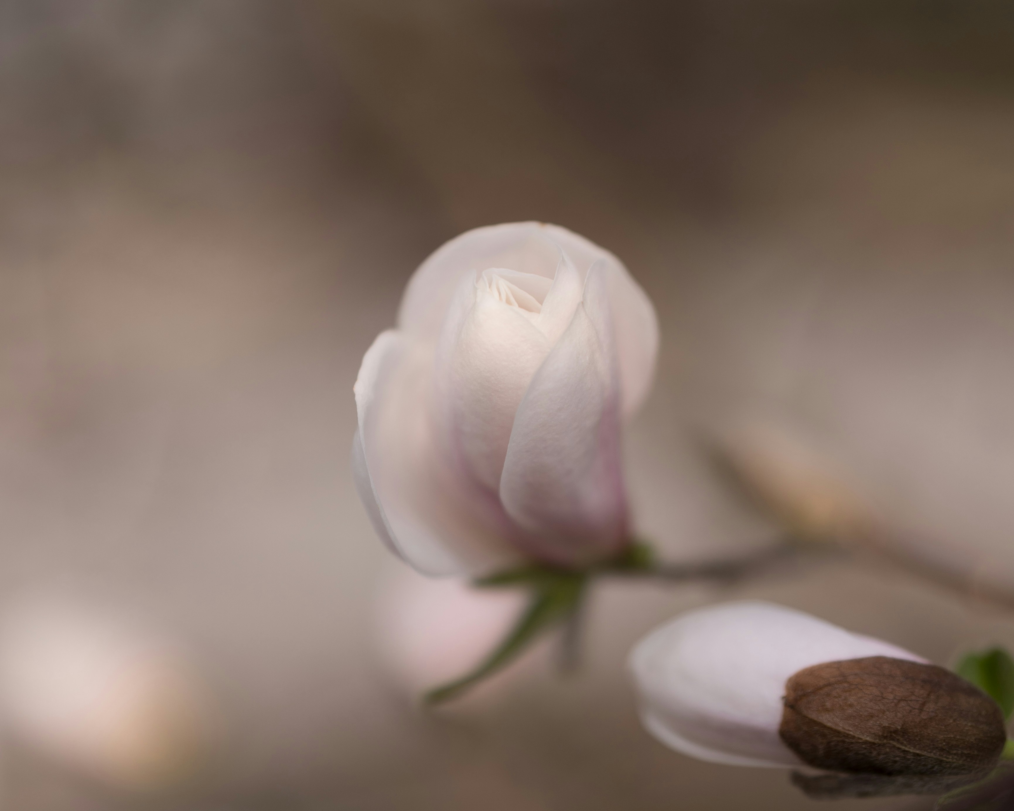 Photo by bangscreative