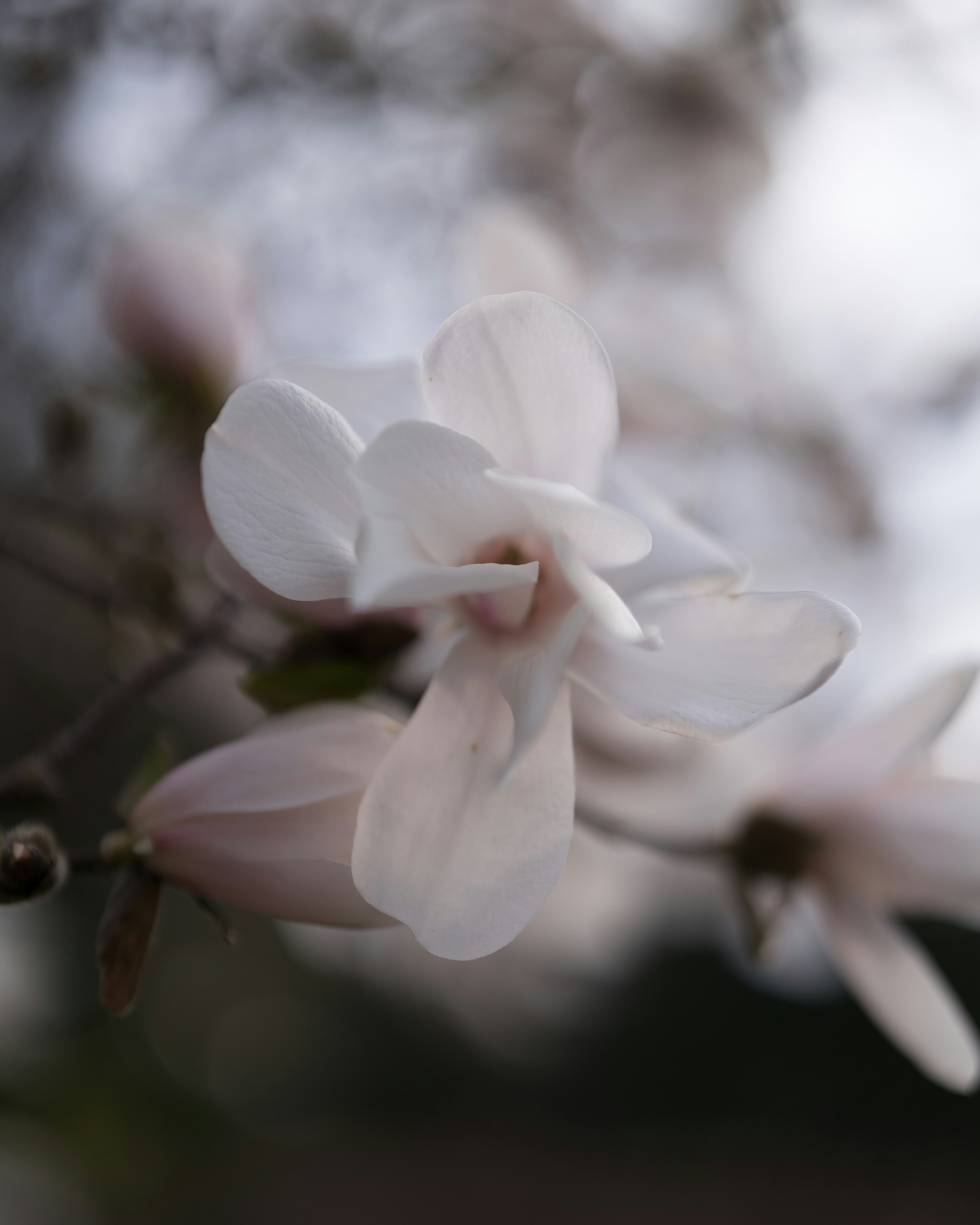 Photo by bangscreative