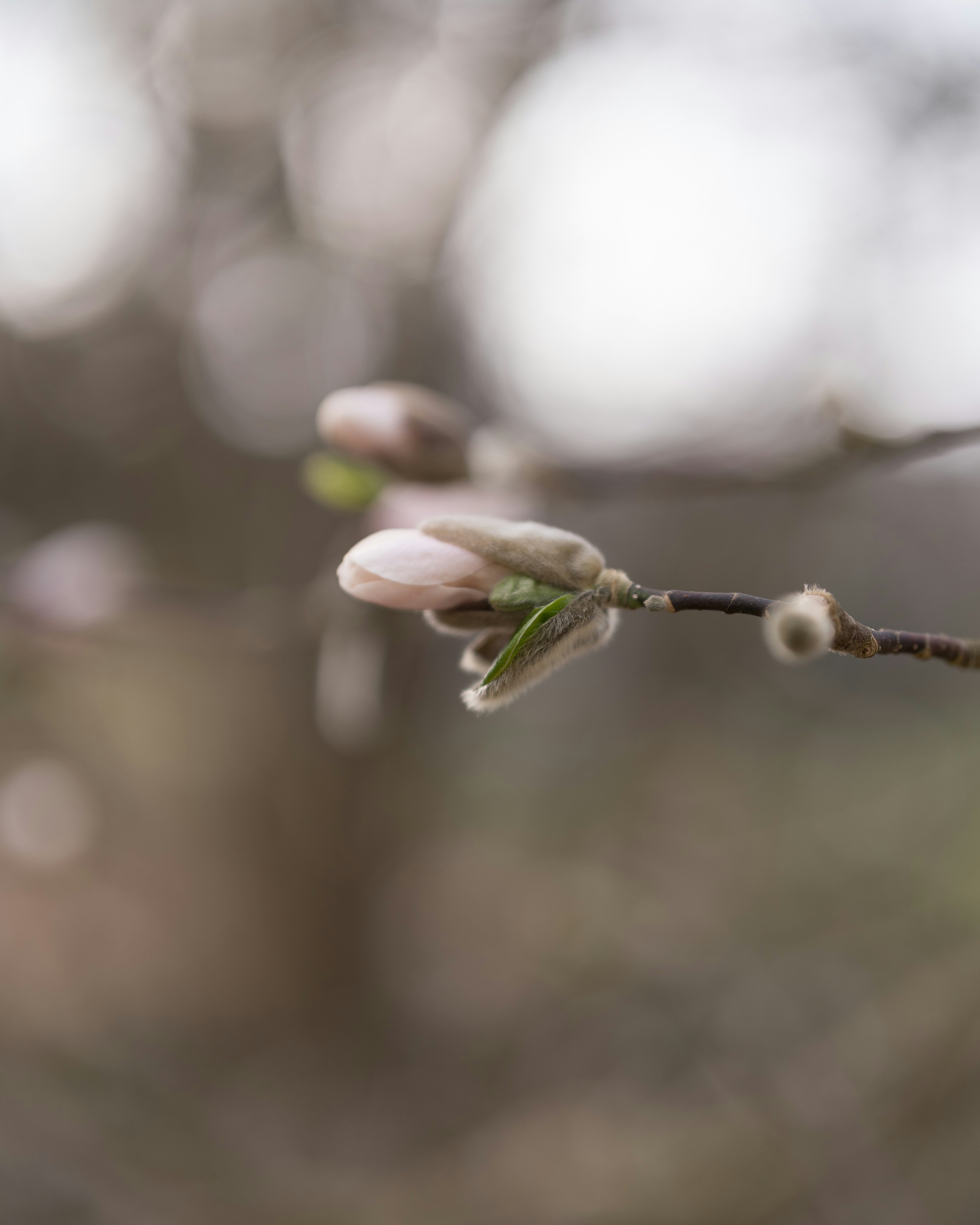 Photo by bangscreative