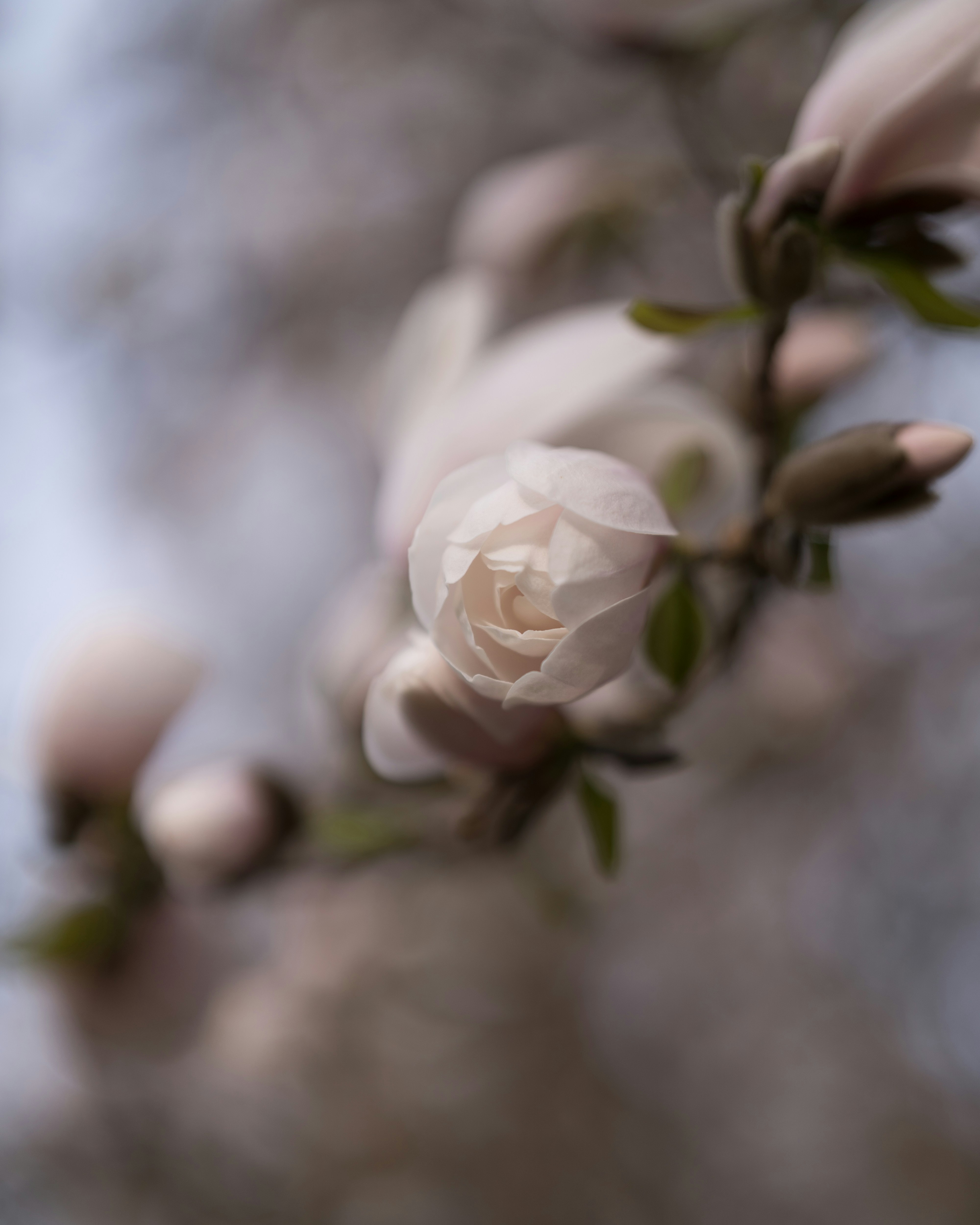 Photo by bangscreative