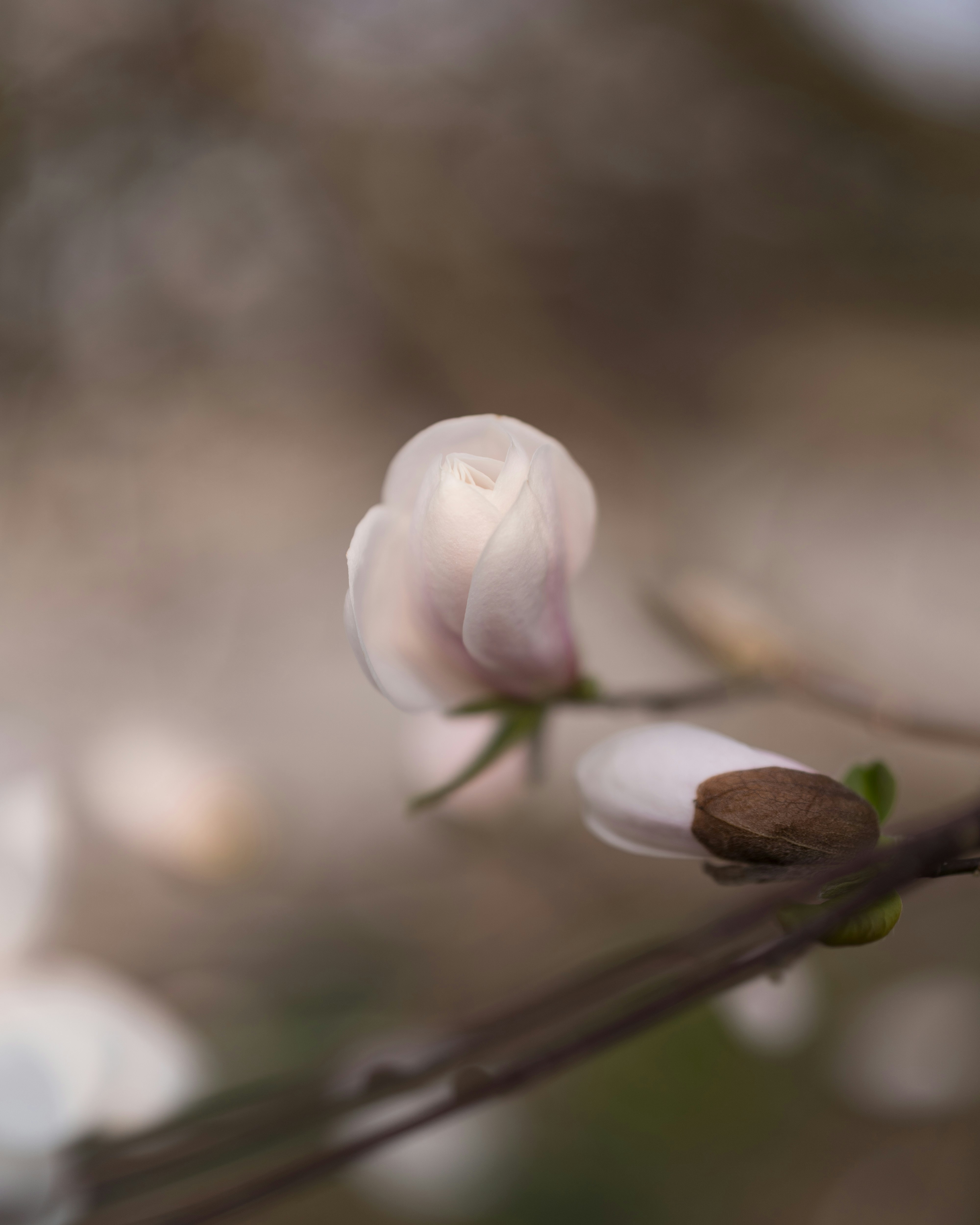 Photo by bangscreative