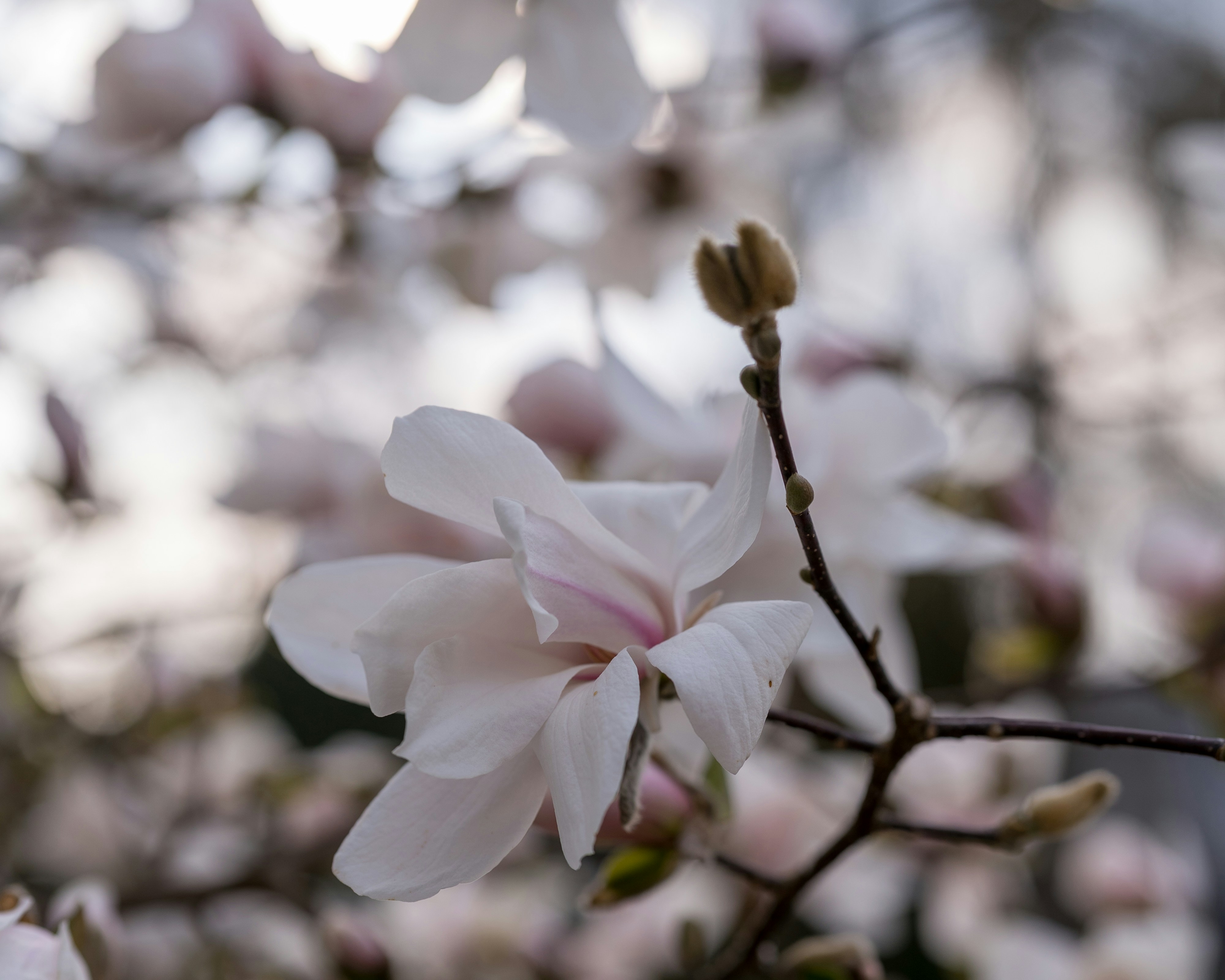 Photo by bangscreative