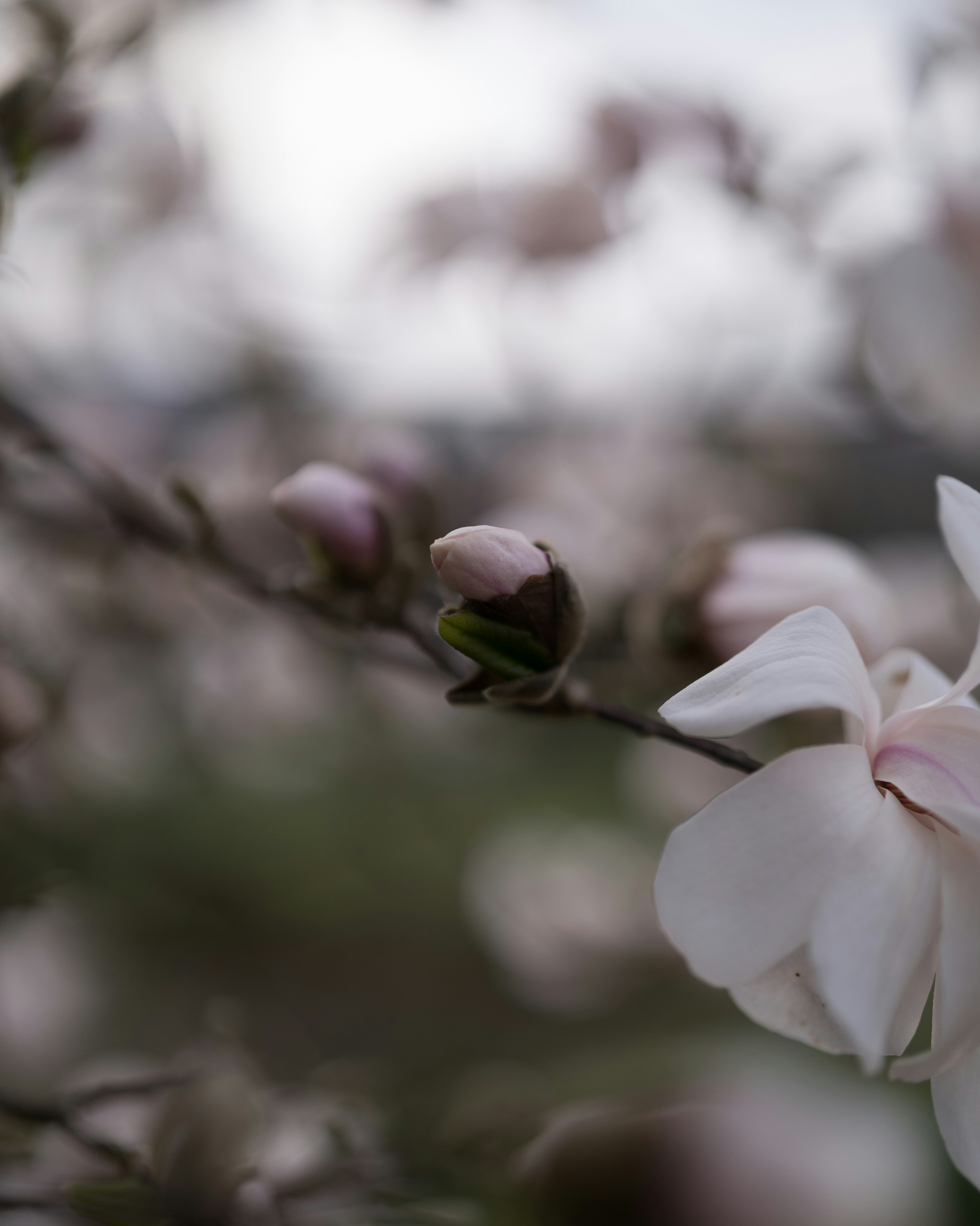 Photo by bangscreative