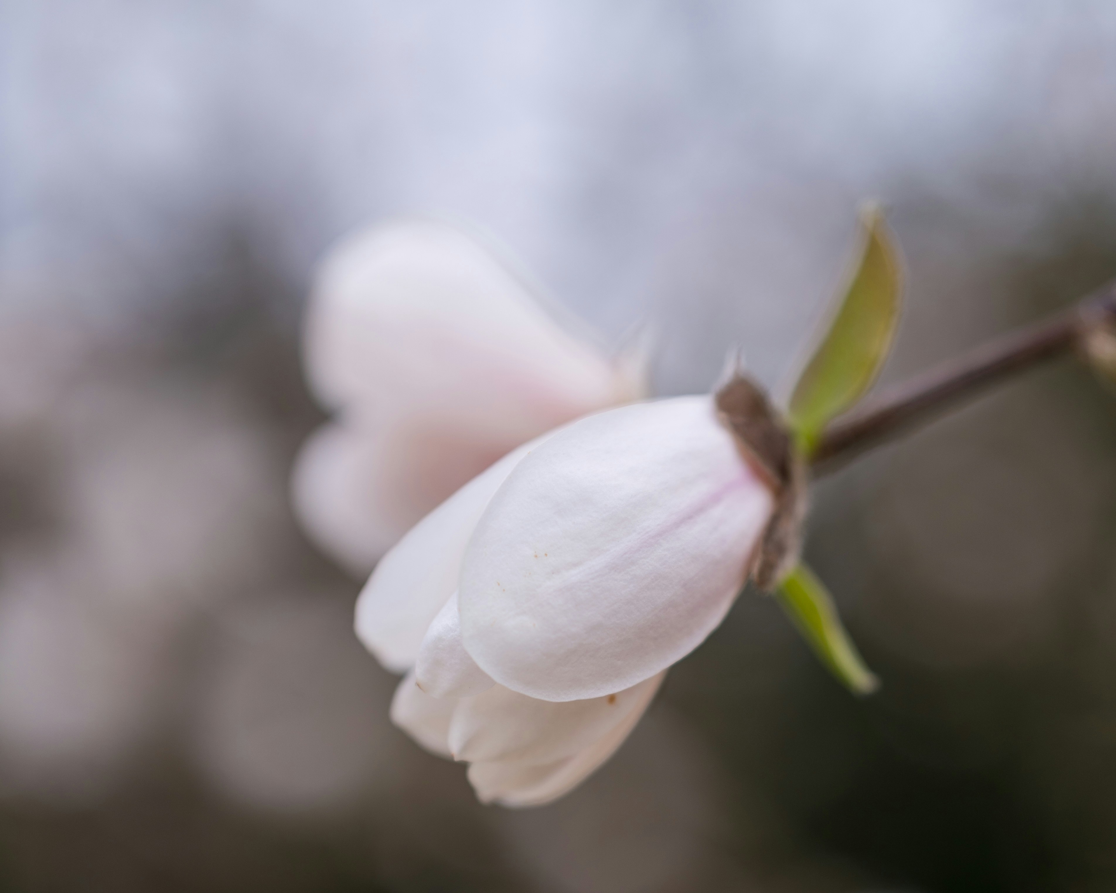 Photo by bangscreative