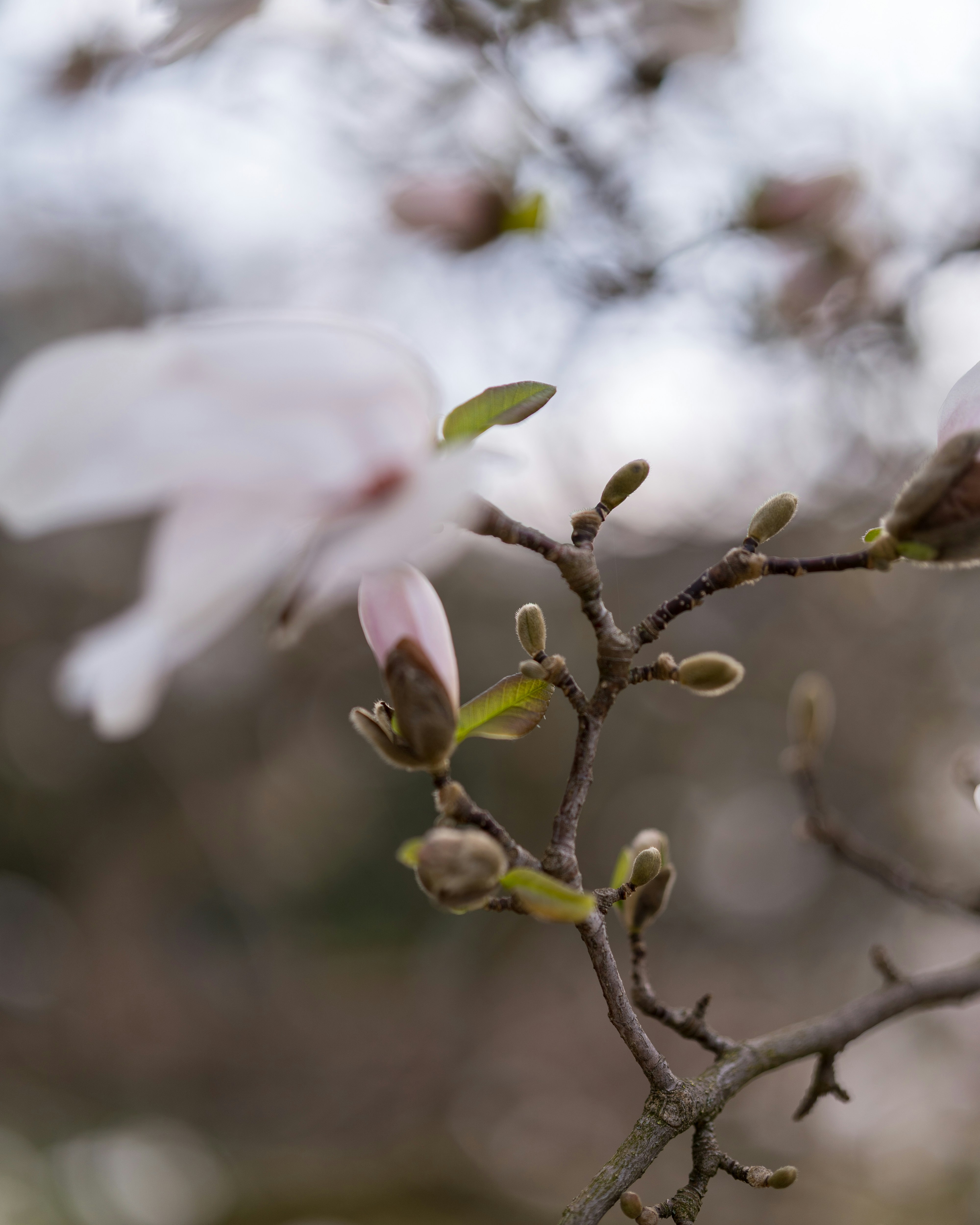 Photo by bangscreative