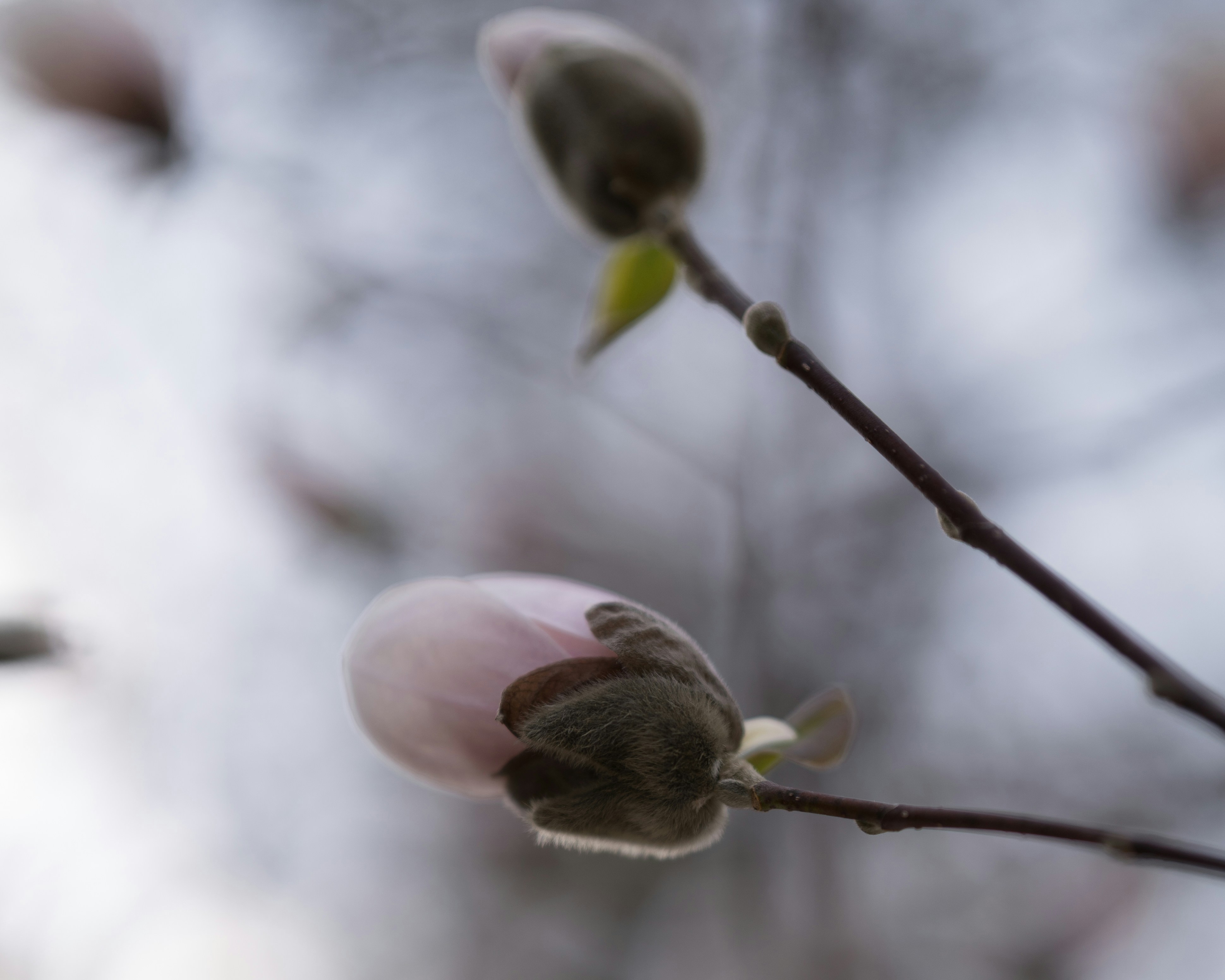 Photo by bangscreative