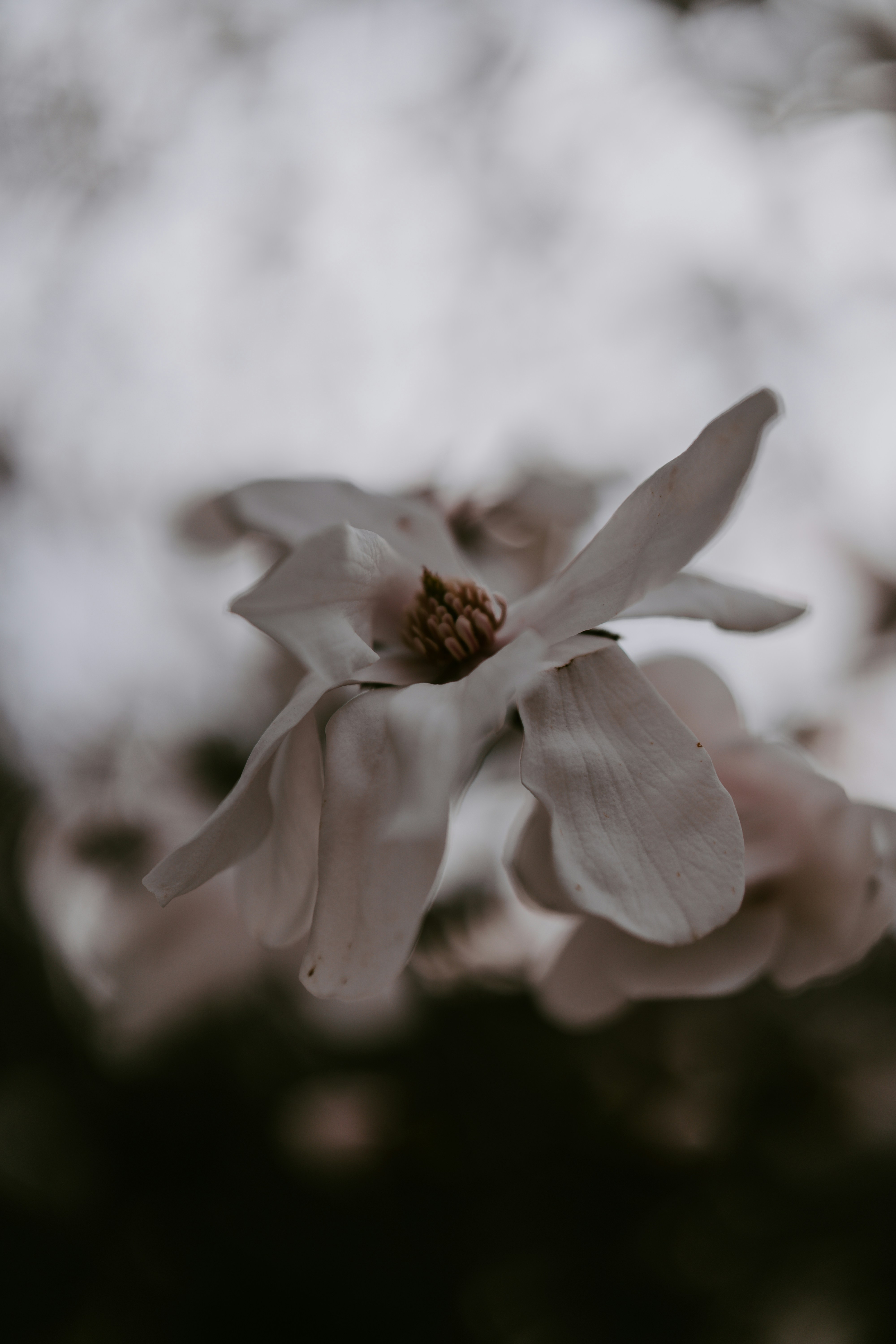 Photo by bangscreative